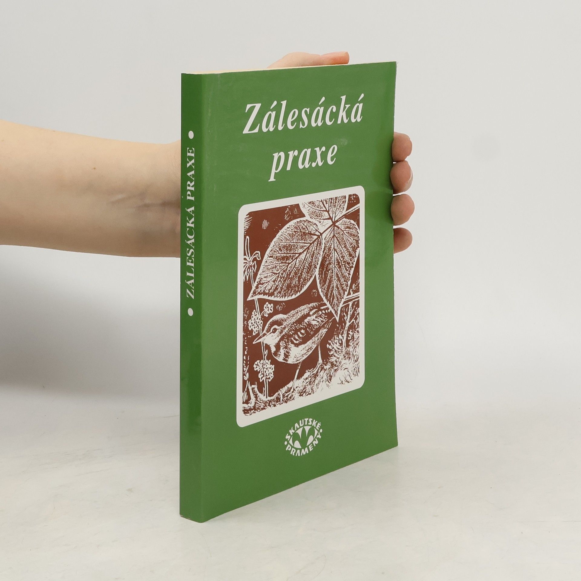 Milan Klíma Zálesácká praxe