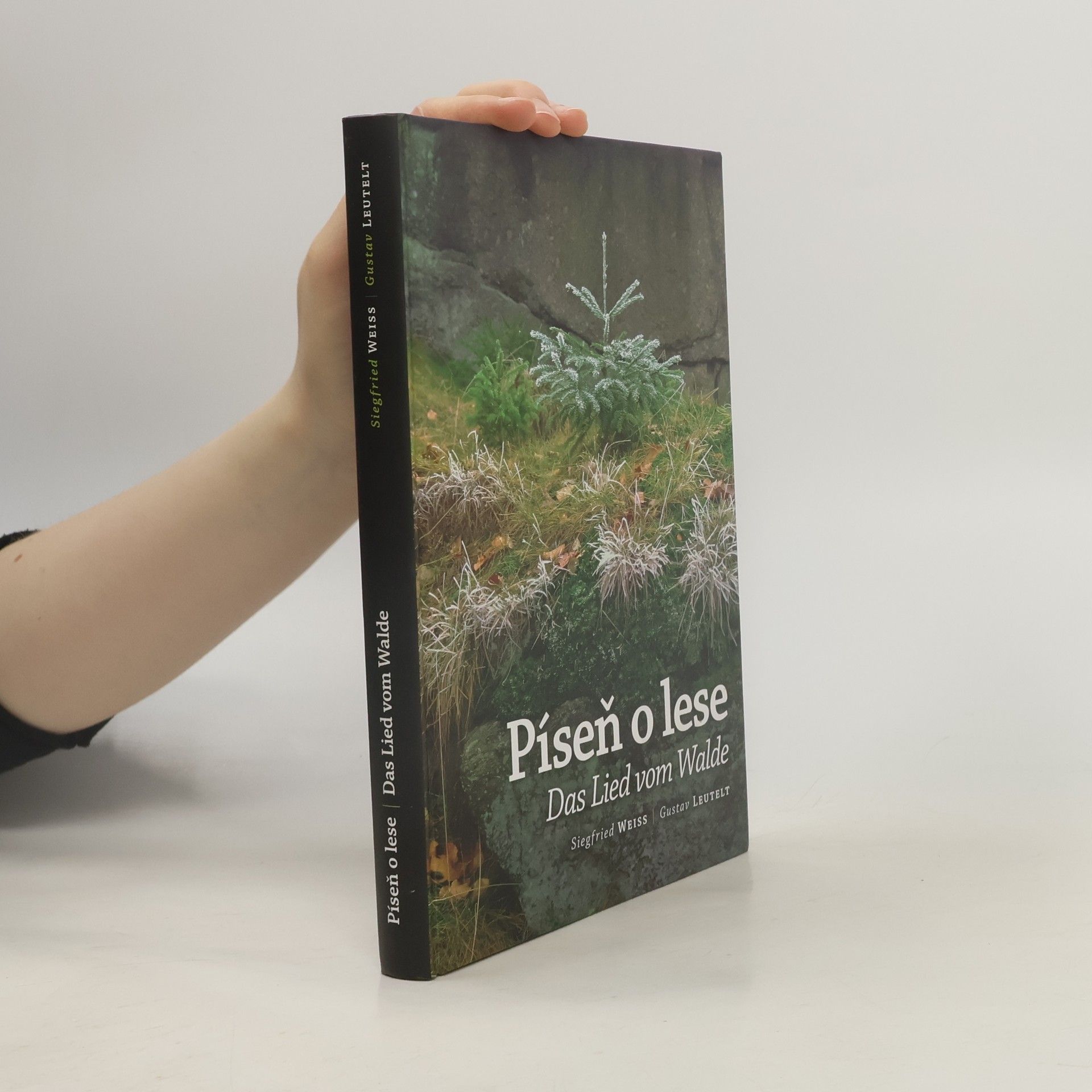 Píseň o lese = Das Lied vom Walde