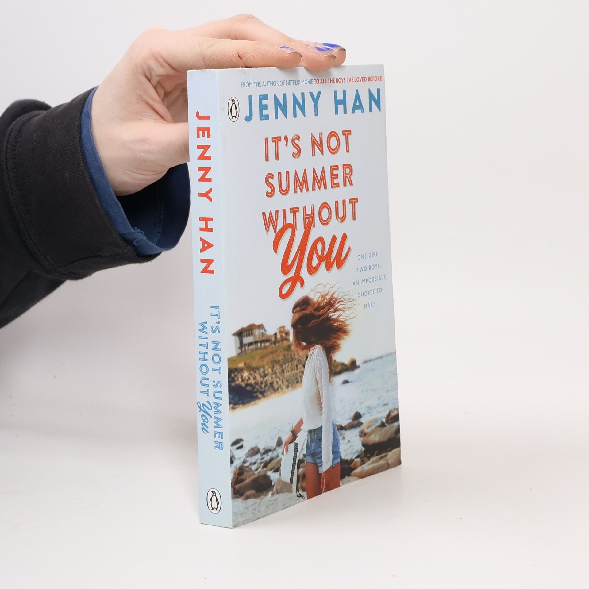 Jenny Han It's Not Summer Without You