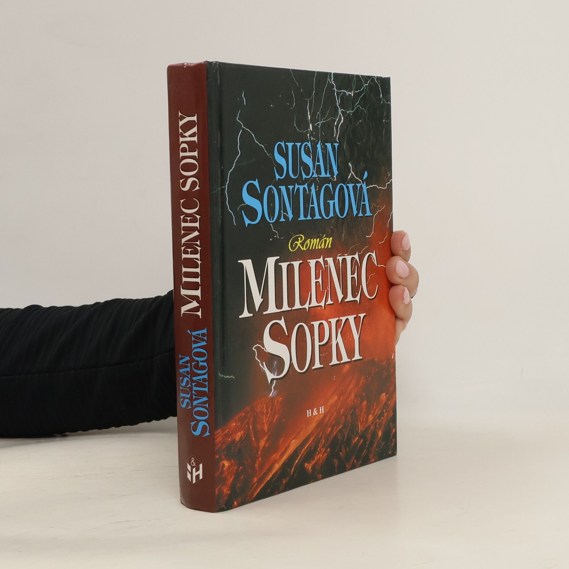 Susan Sontag Milenec sopky