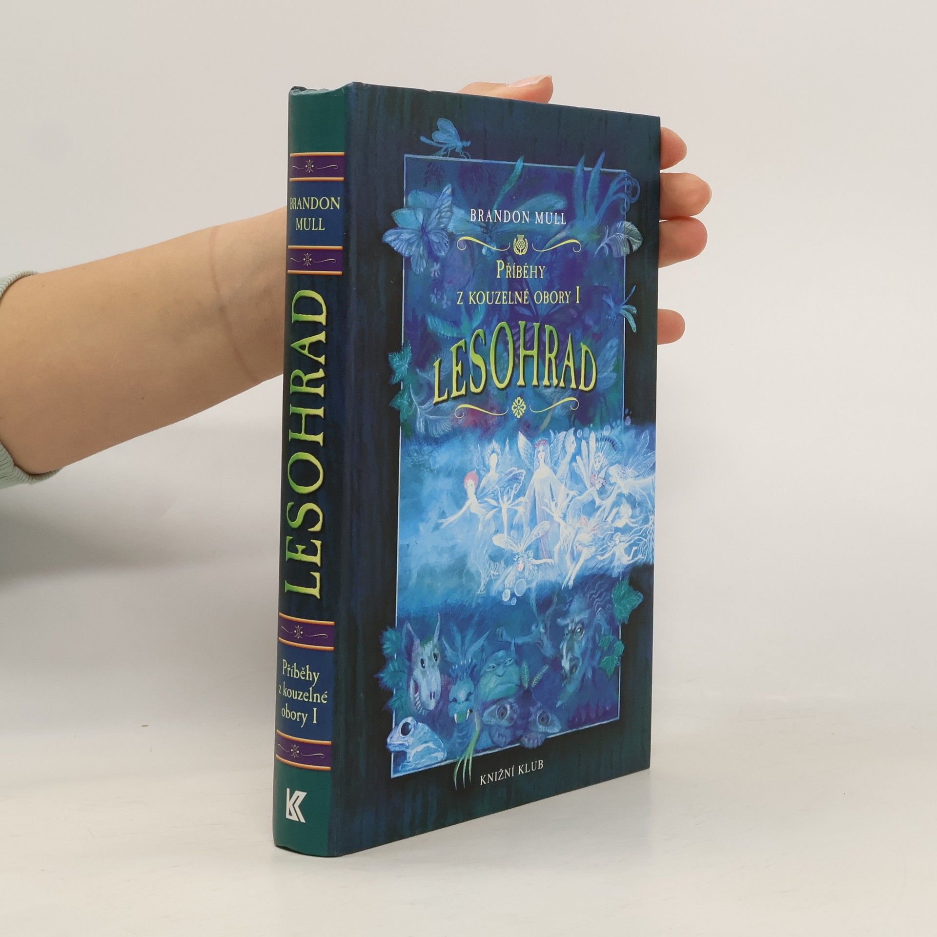 Brandon Mull Příběhy z kouzelné obory 1. Lesohrad