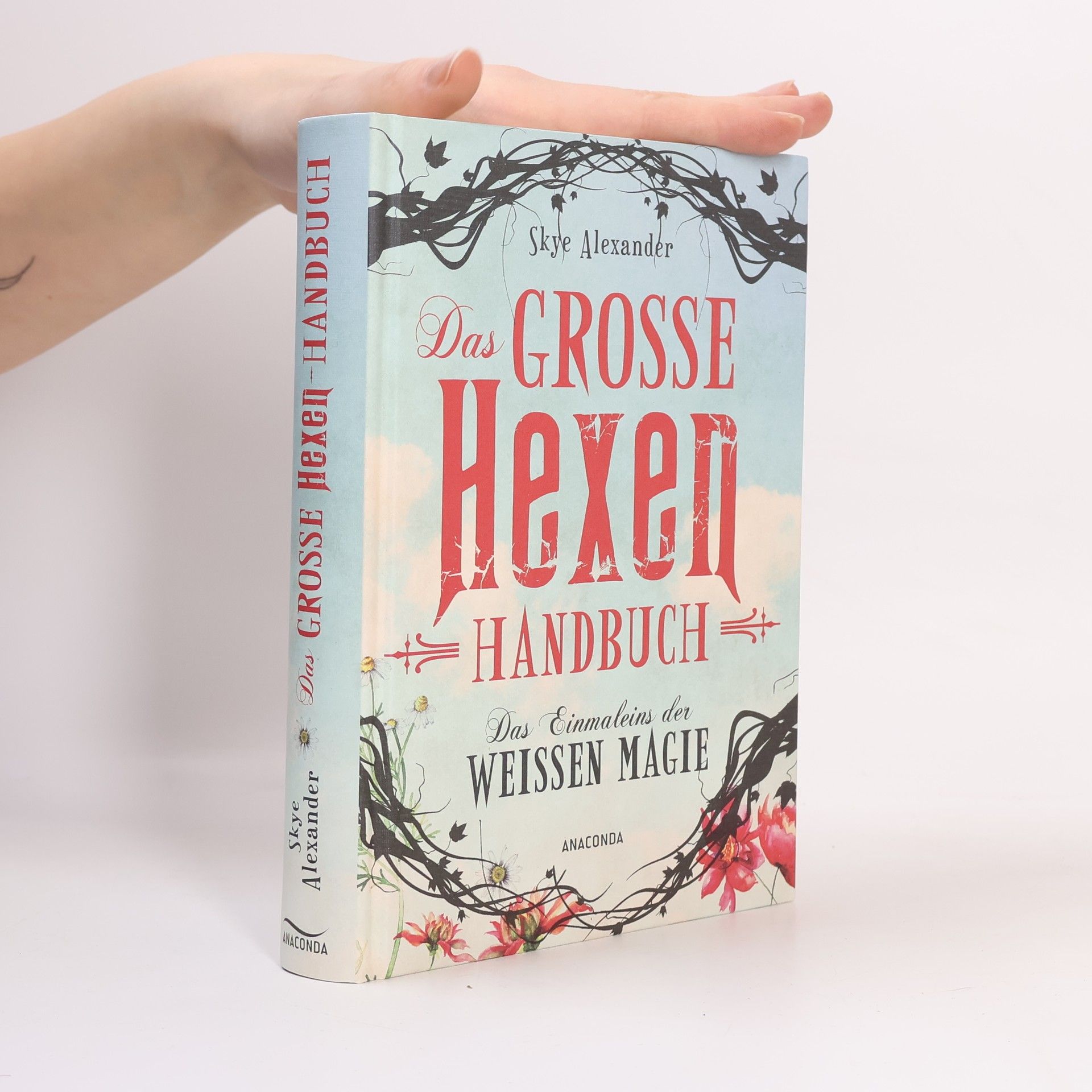 Skye Alexander Das große Hexen-Handbuch