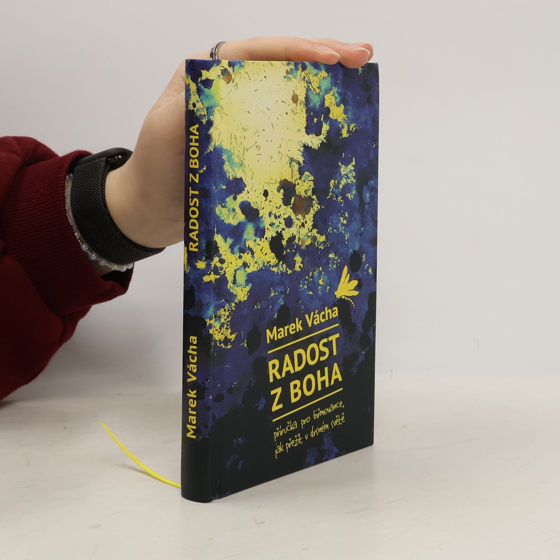 Marek Vácha Radost z Boha. Příručka pro biřmovance, jak přežít v drsném světě