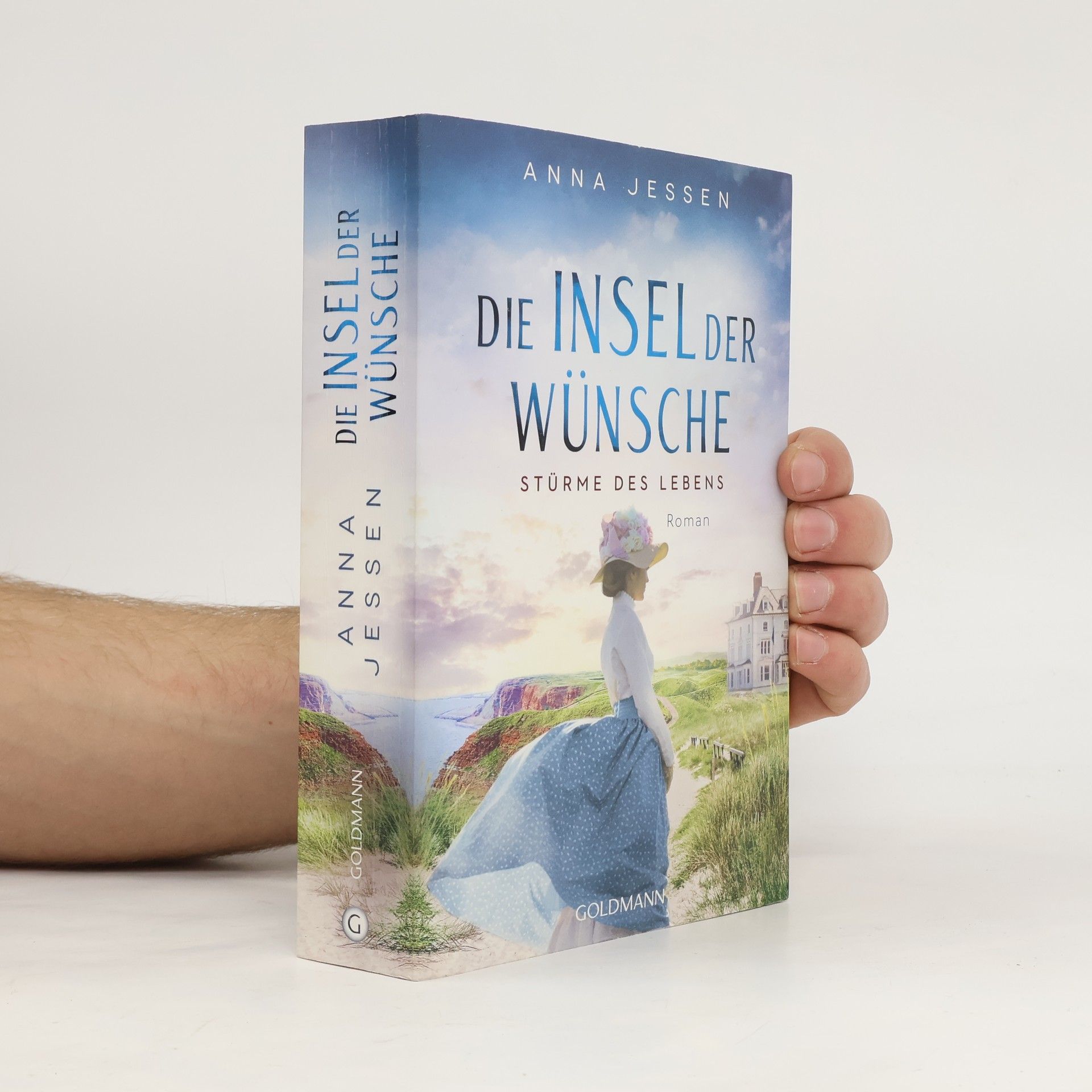 Anna Jessen Die Insel der Wünsche - Stürme des Lebens