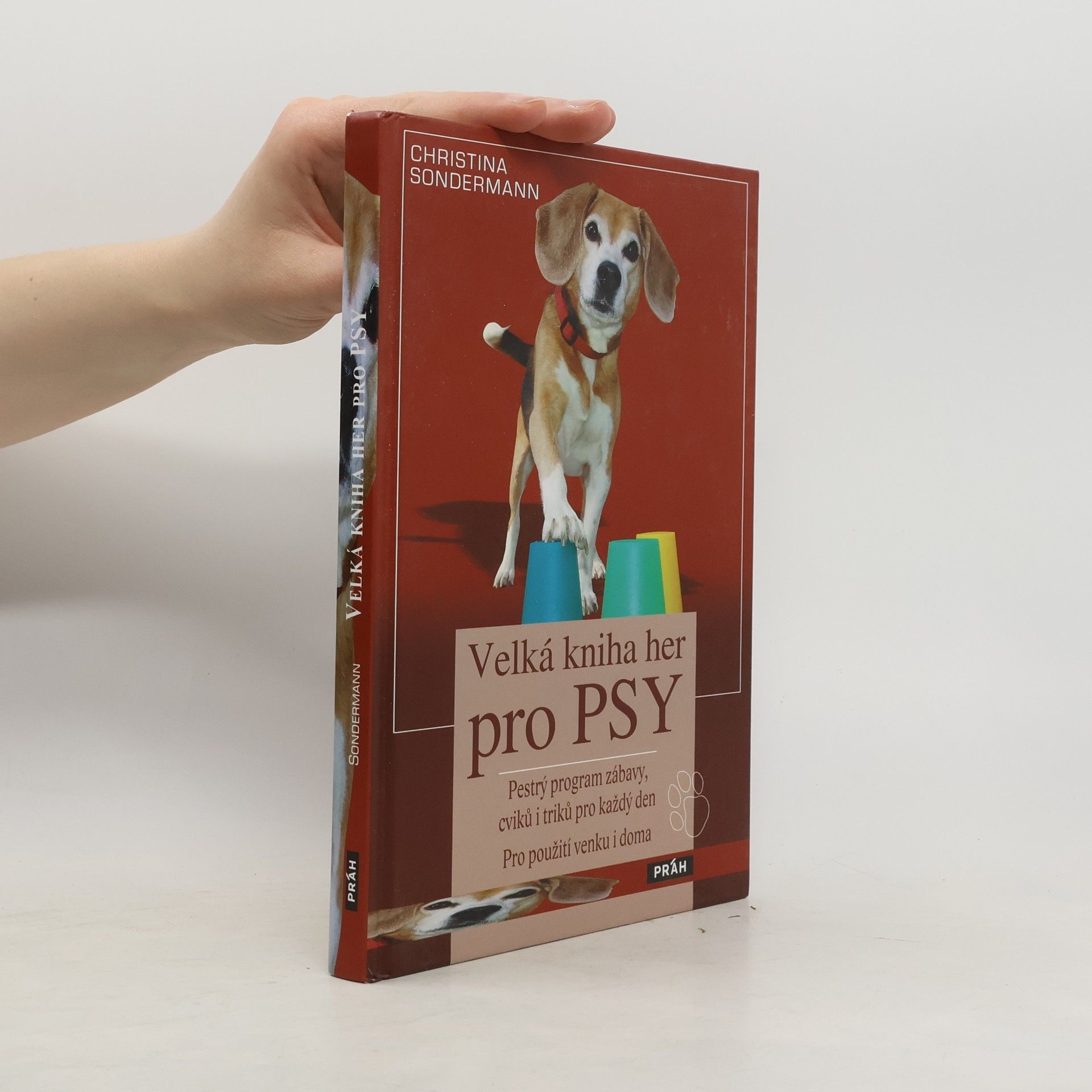 Christina Sondermann Velká kniha her pro psy: Pestrý program zábavy, cviků i triků pro každý den
