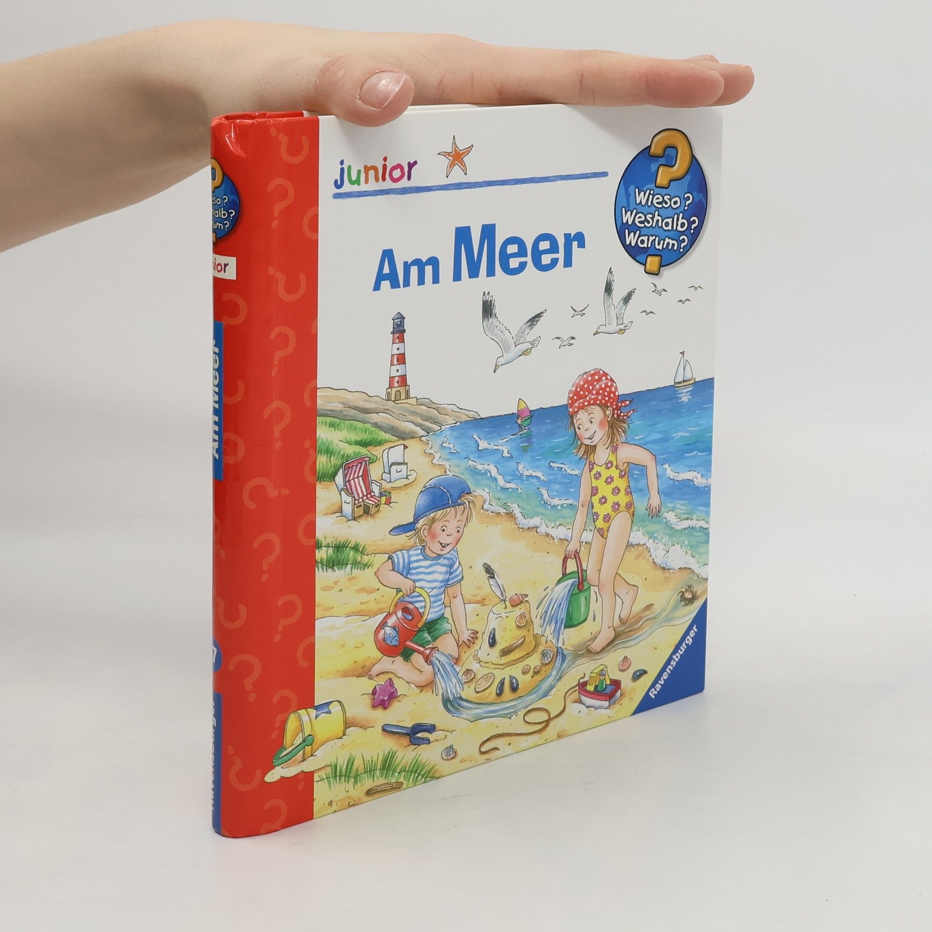 Marion Kreimeyer-Visse Am Meer