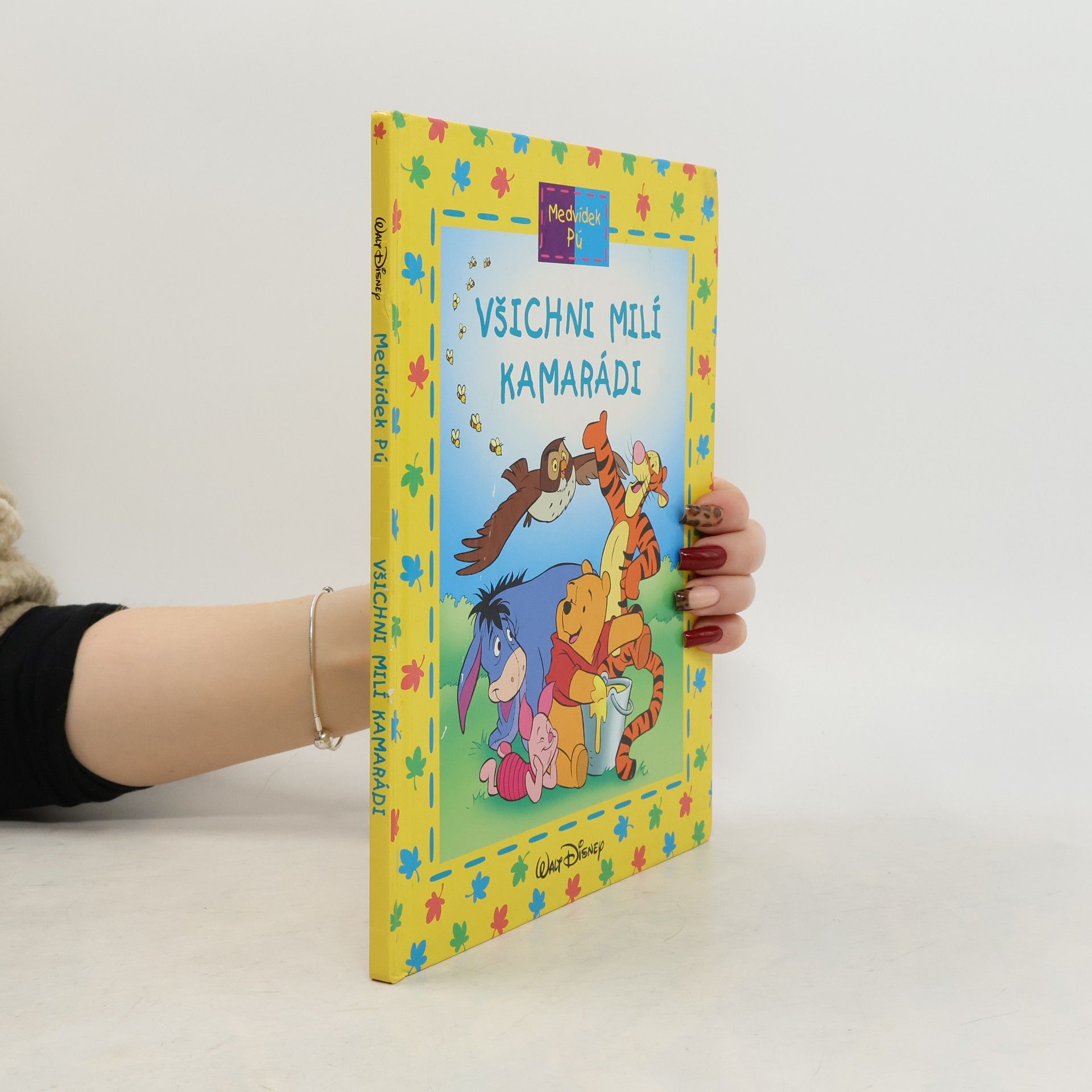 Jean-Pierre Bernier Medvídek Pú: Všichni milí kamarádi