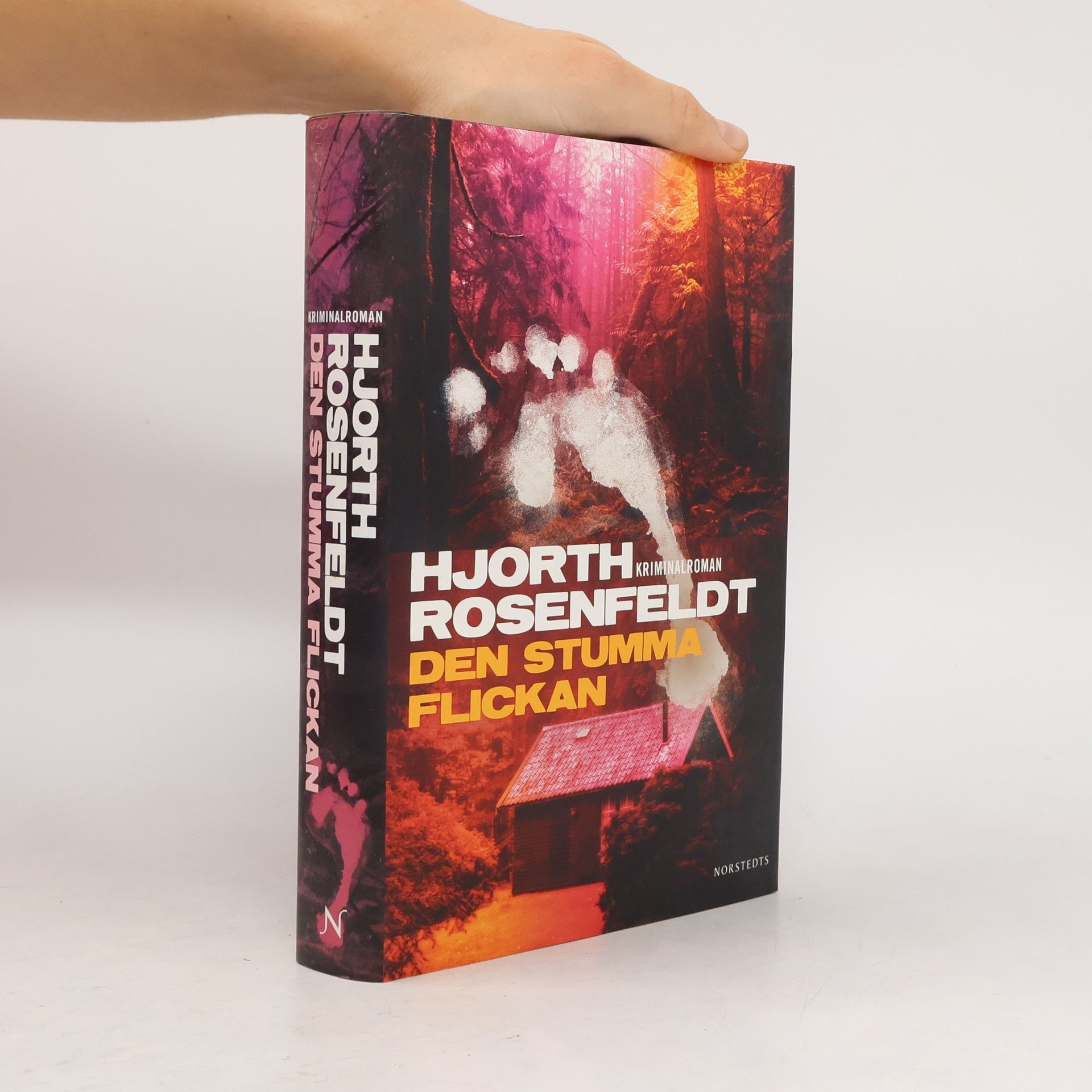 Michael Hjorth Sebastian Bergman - 4: Den stumma flickan