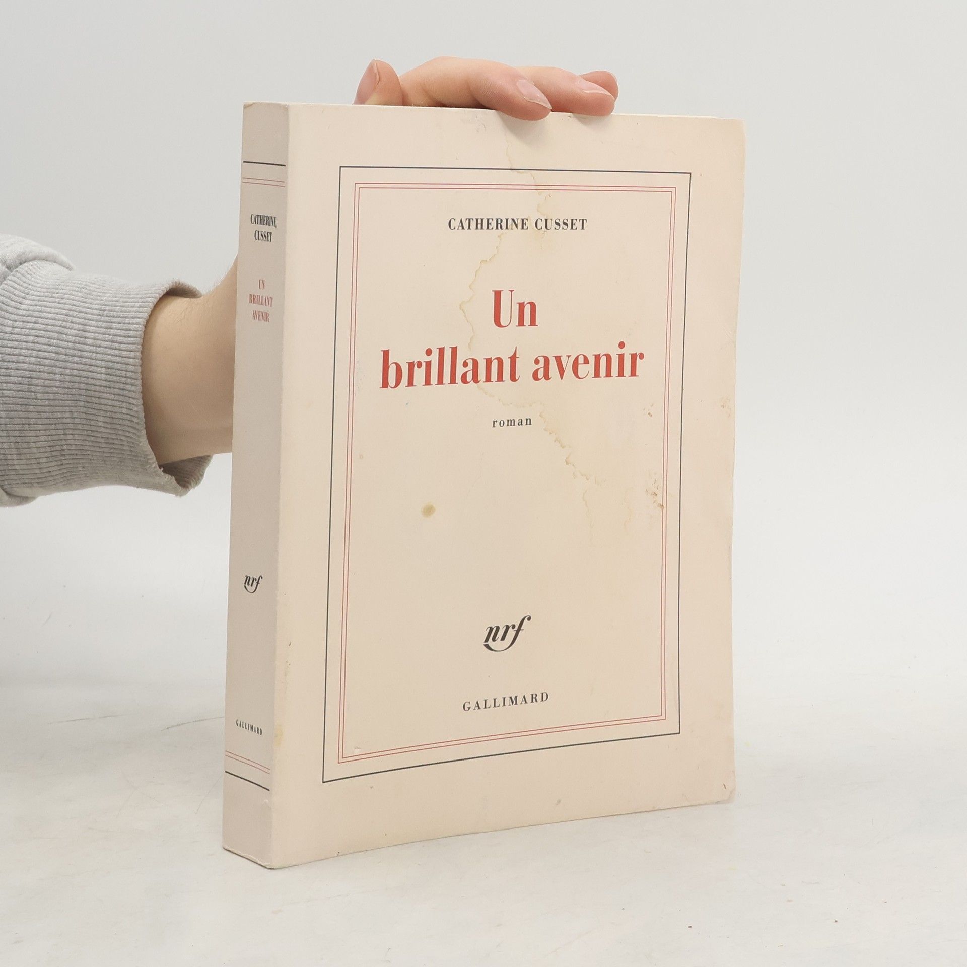 Catherine Cusset Un brillant avenir