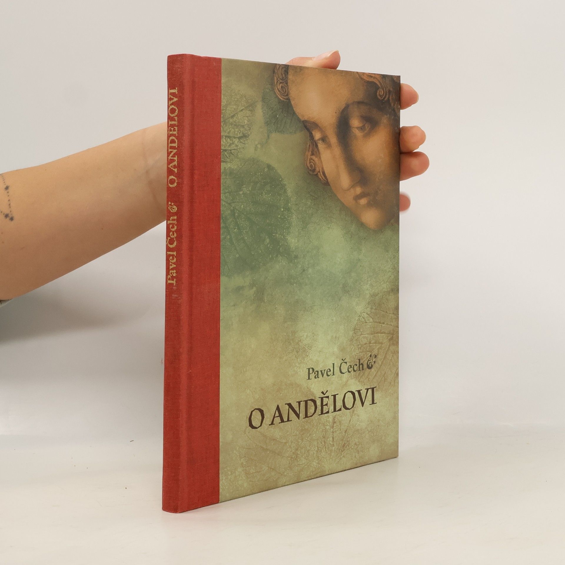Pavel Čech O andělovi