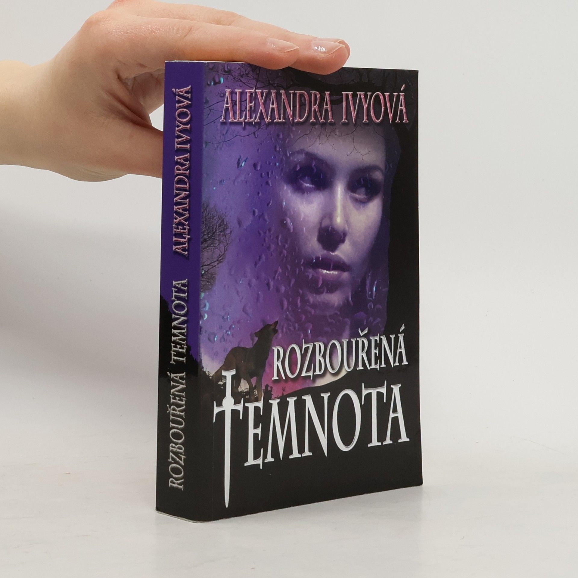 Debbie Raleigh Rozbouřená temnota