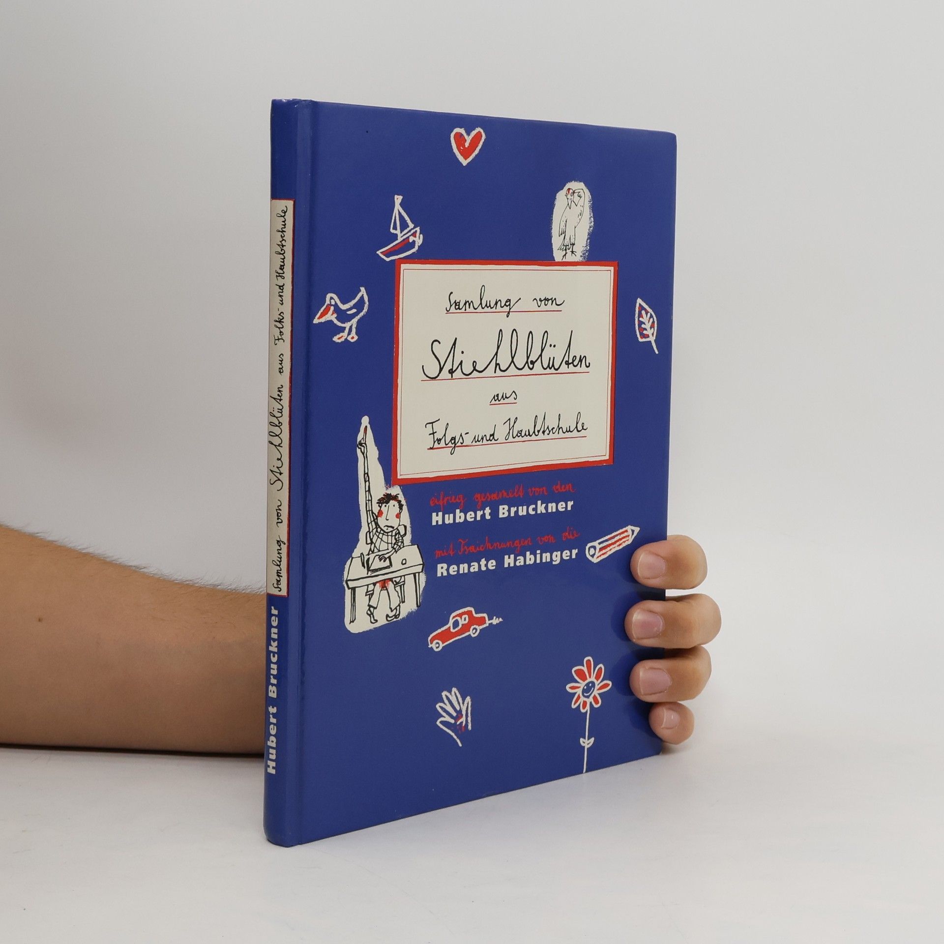 Stiehlblüten aus Folgs- und Haubtschule