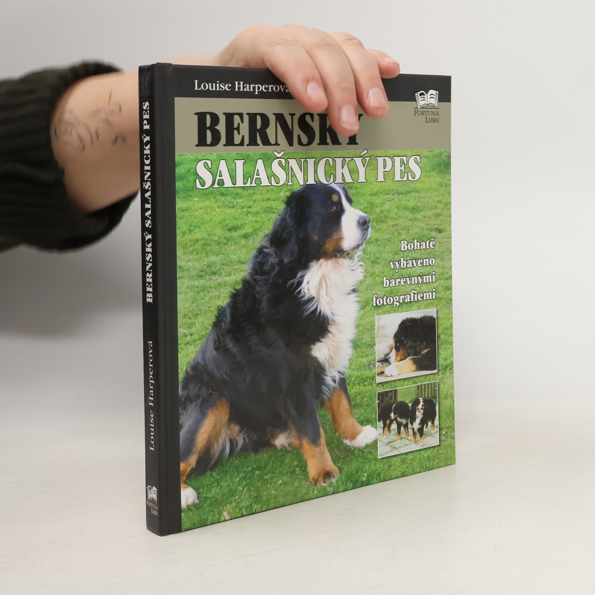 Louise Harper Bernský salašnický pes