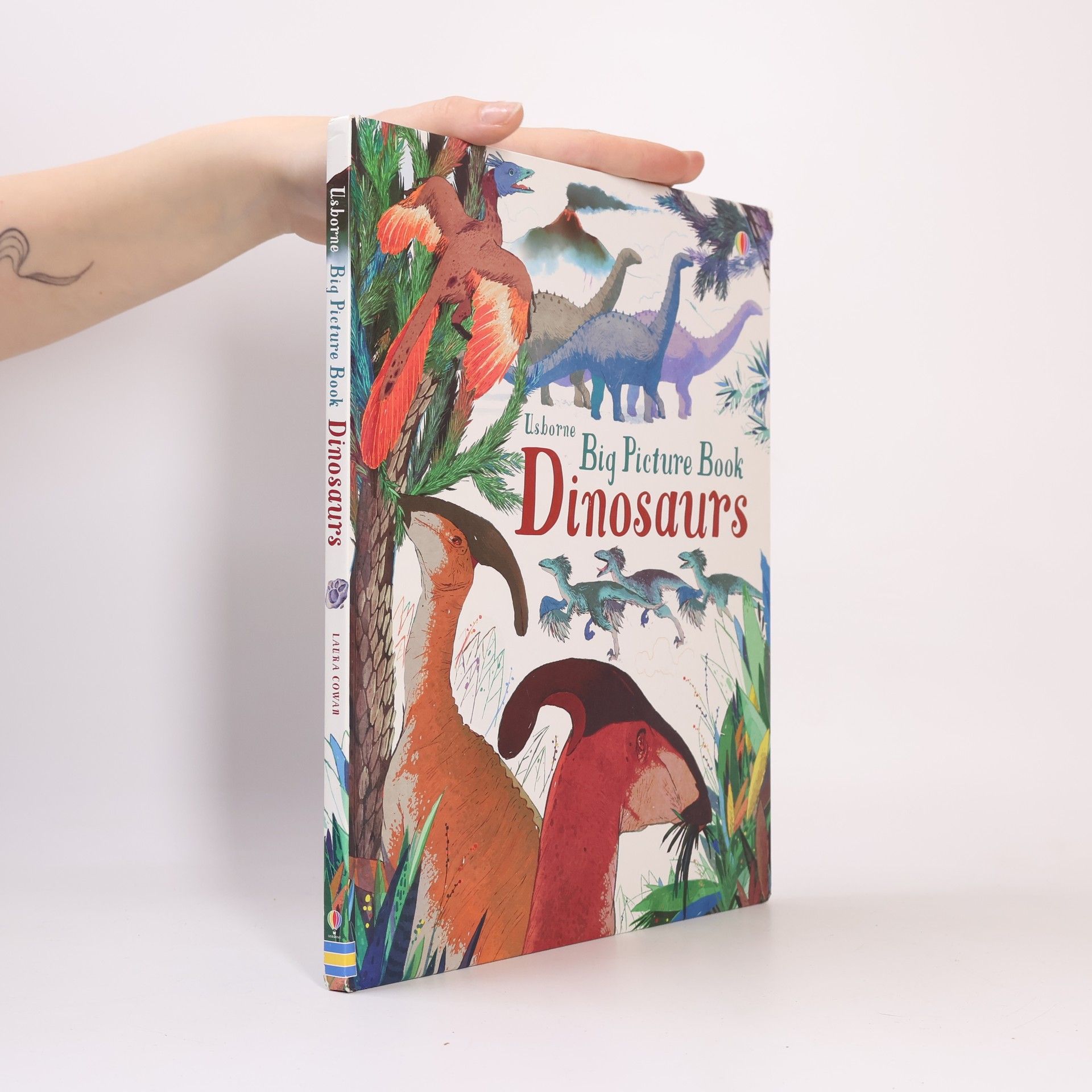 Big Picture Book Dinosaurs