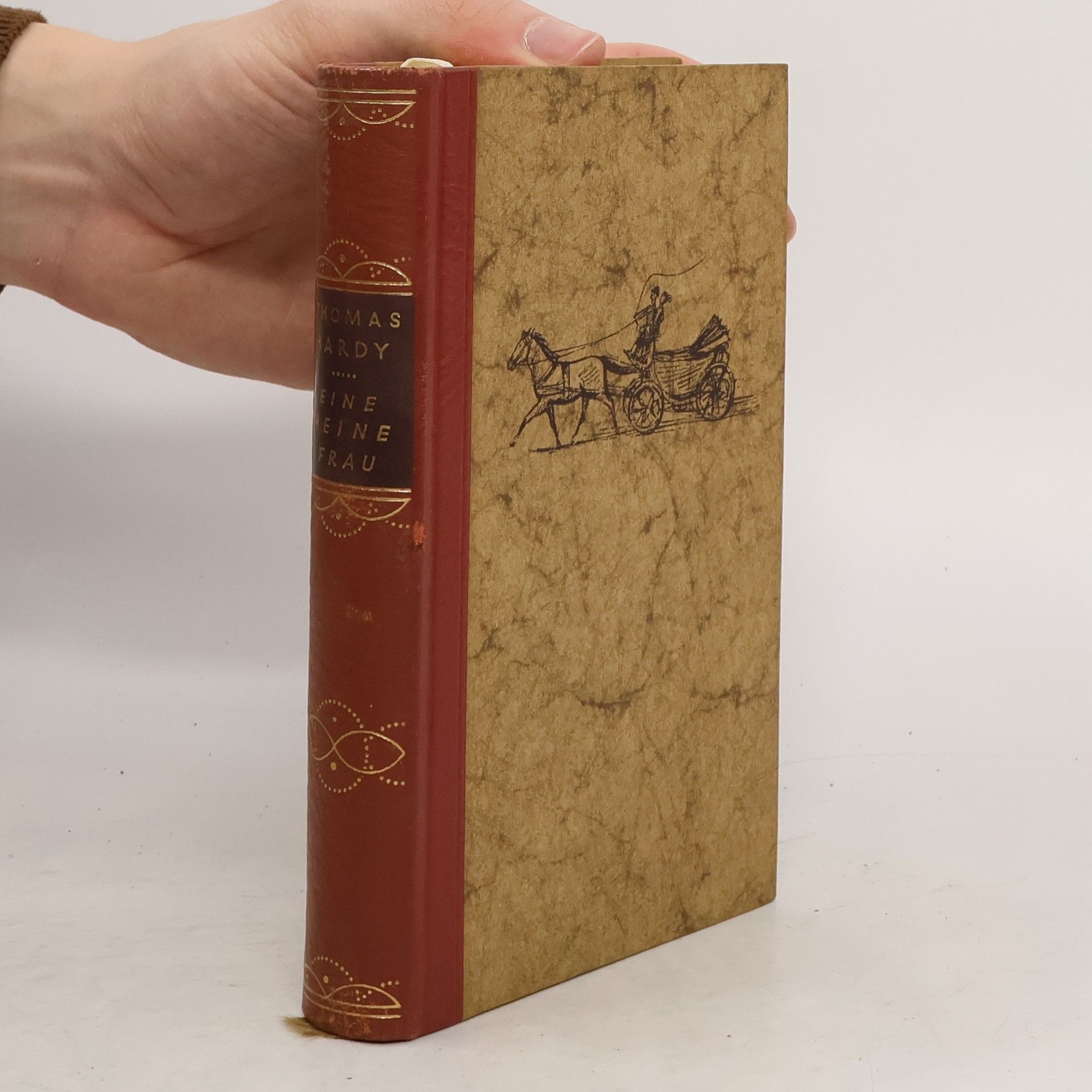 Thomas Hardy Eine reine Frau
