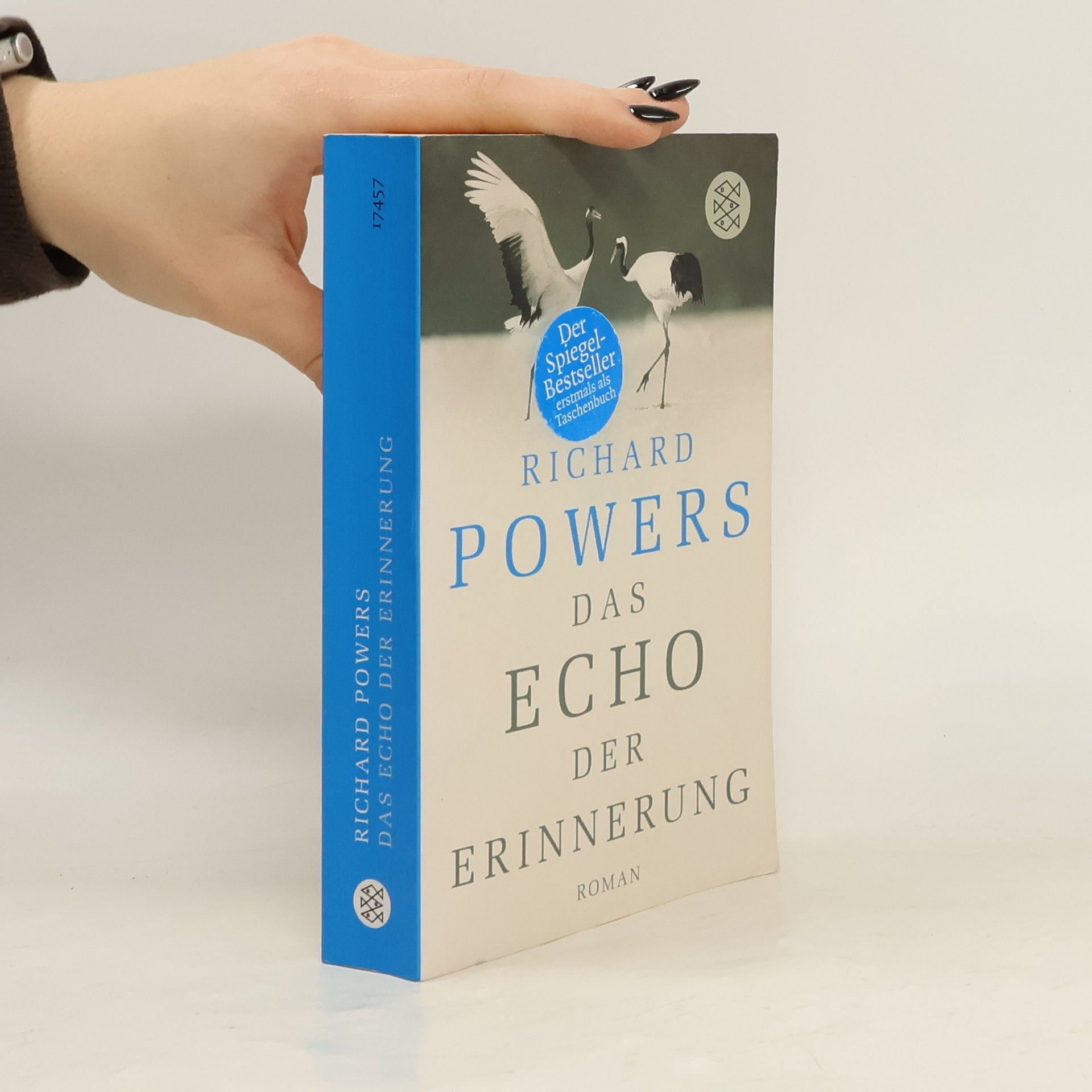 Richard Powers Das Echo der Erinnerung