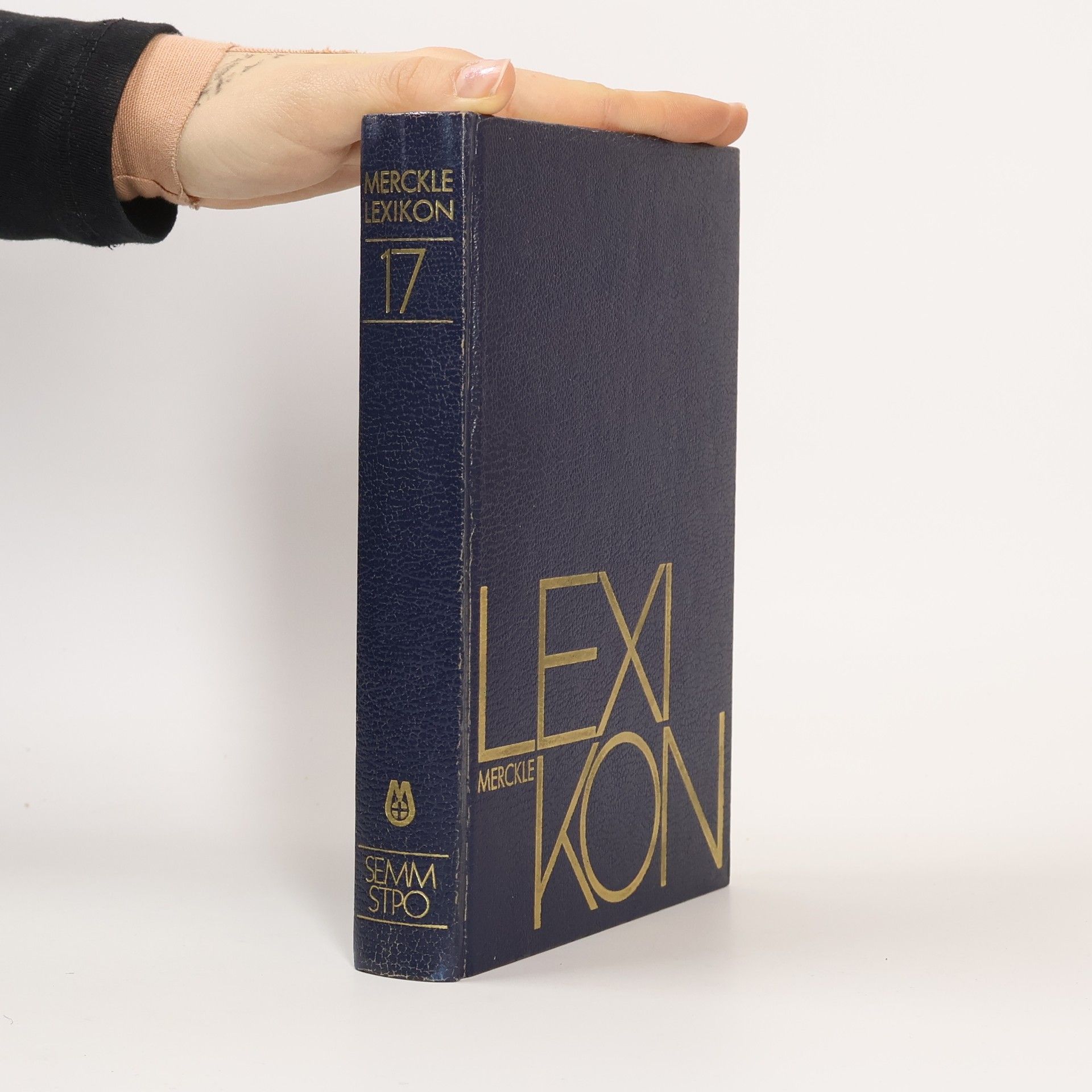 Autorenkollektiv Merckle Lexikon 17