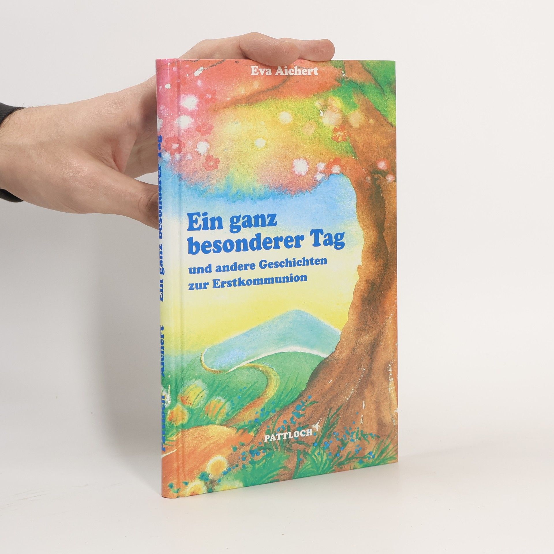 Eva Aichert Ein ganz besonderer Tag und andere Geschichten zur Erstkommunion