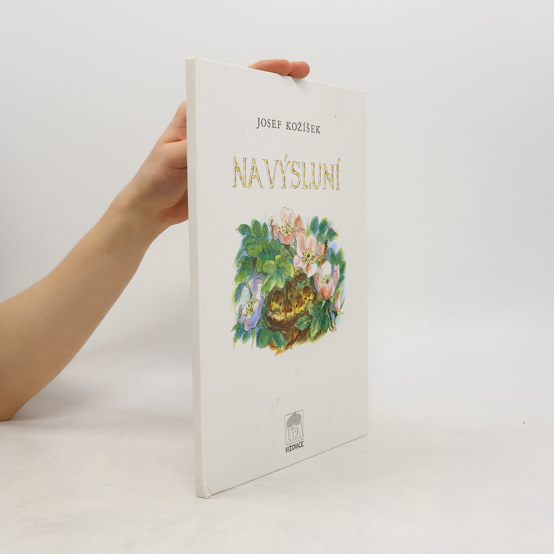 František Tenčík Na výsluní