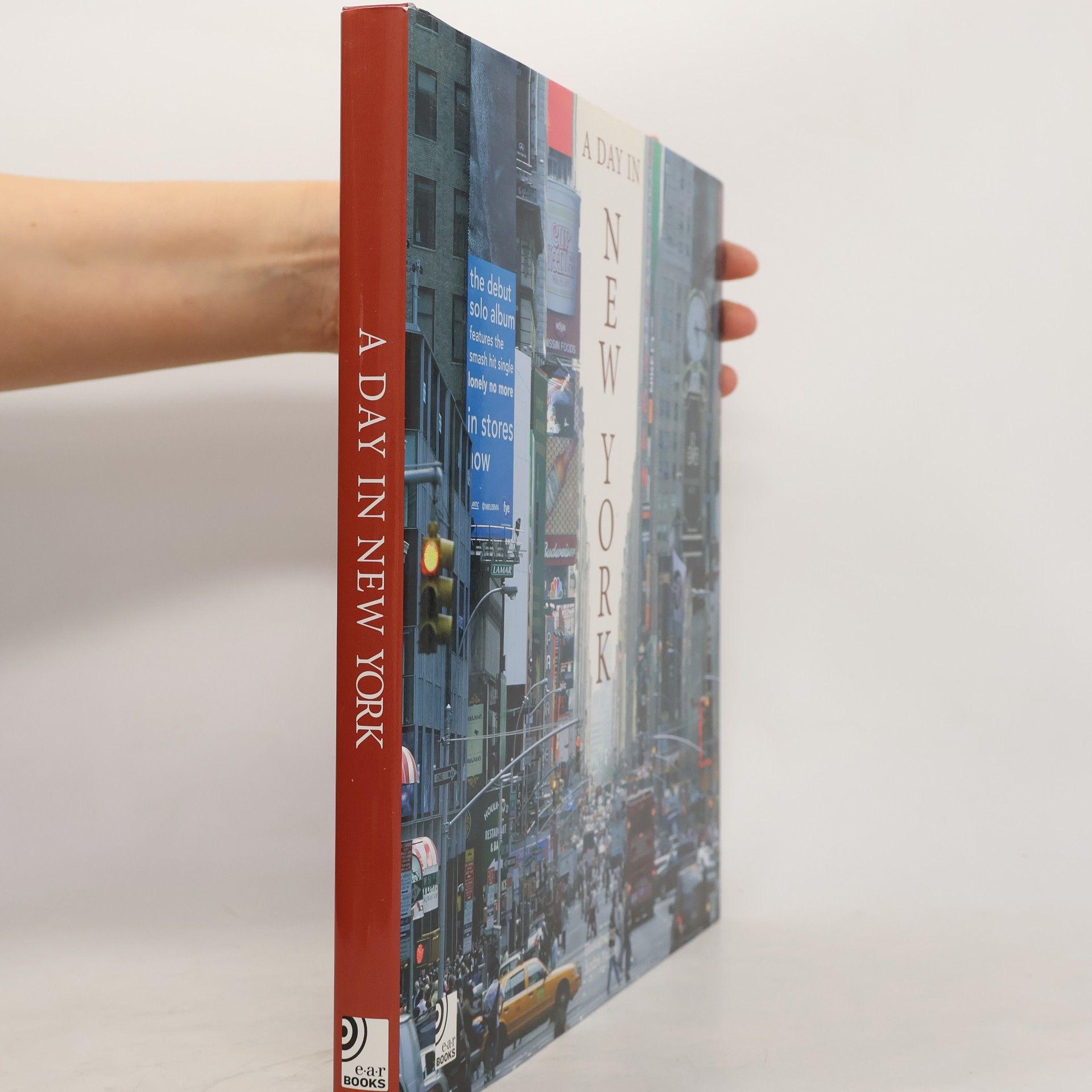 Andre Fichte A day in New York