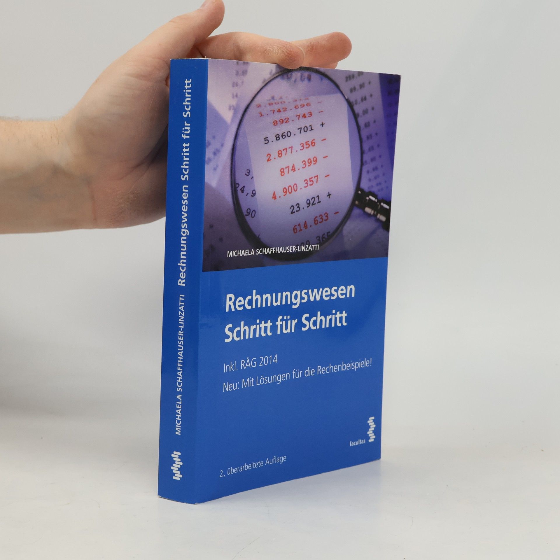 Rechnungswesen Schritt für Schritt: 2, überarbeitete Auflage