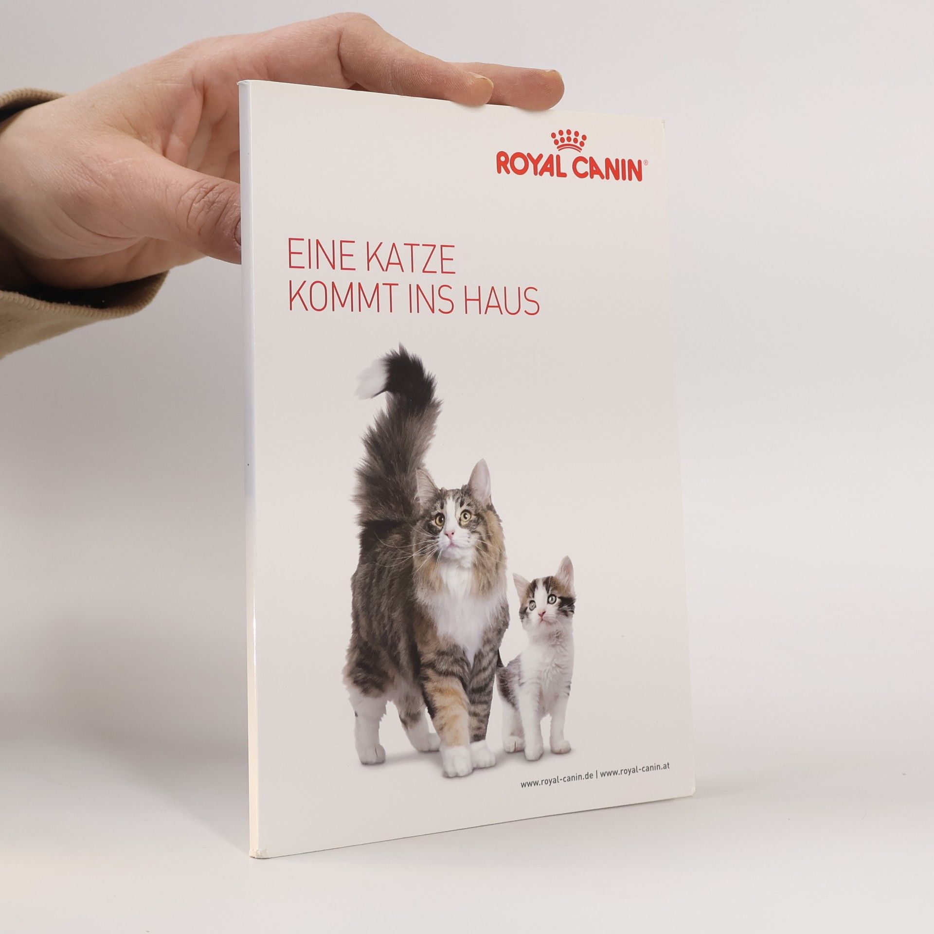 Collectif d'auteurs Eine Katze kommt ins Haus