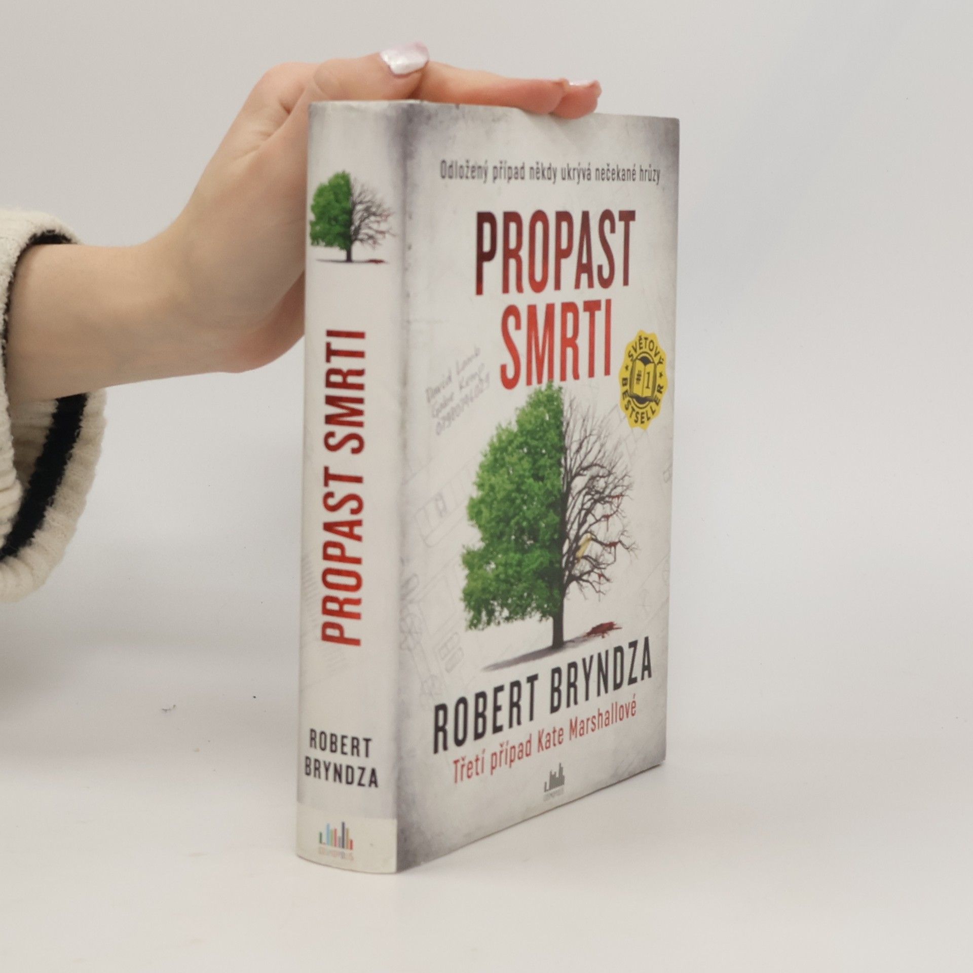 Robert Bryndza Propast smrti