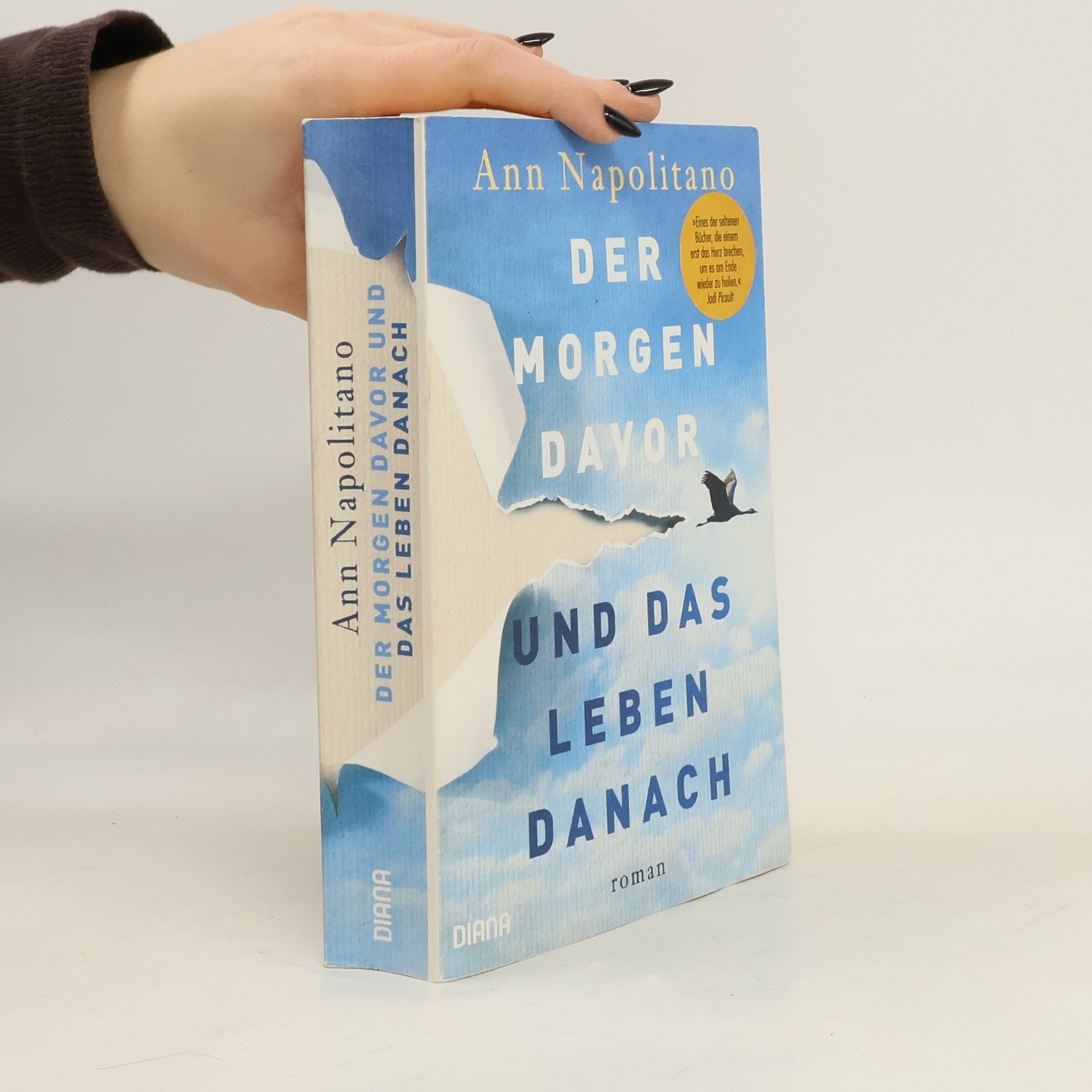 Ann Napolitano Der Morgen davor und das Leben danach