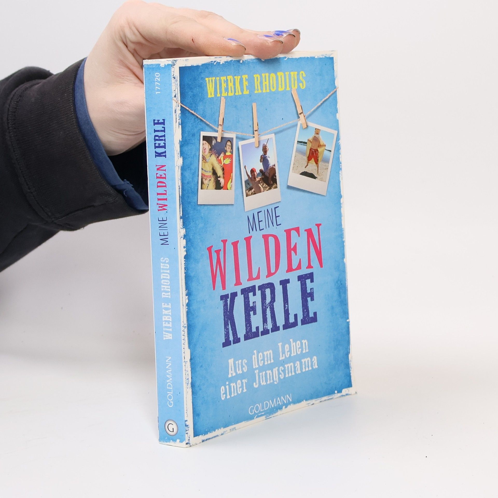 Wiebke Rhodius Meine wilden Kerle