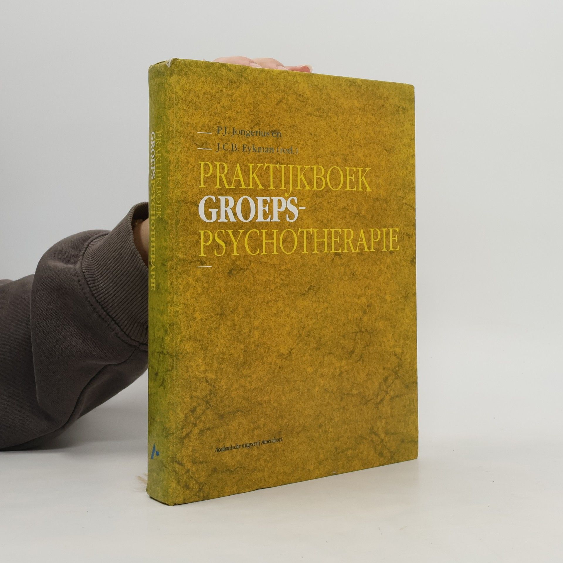 Pieter Jan Jongerius Praktijkboek groepspsychotherapie