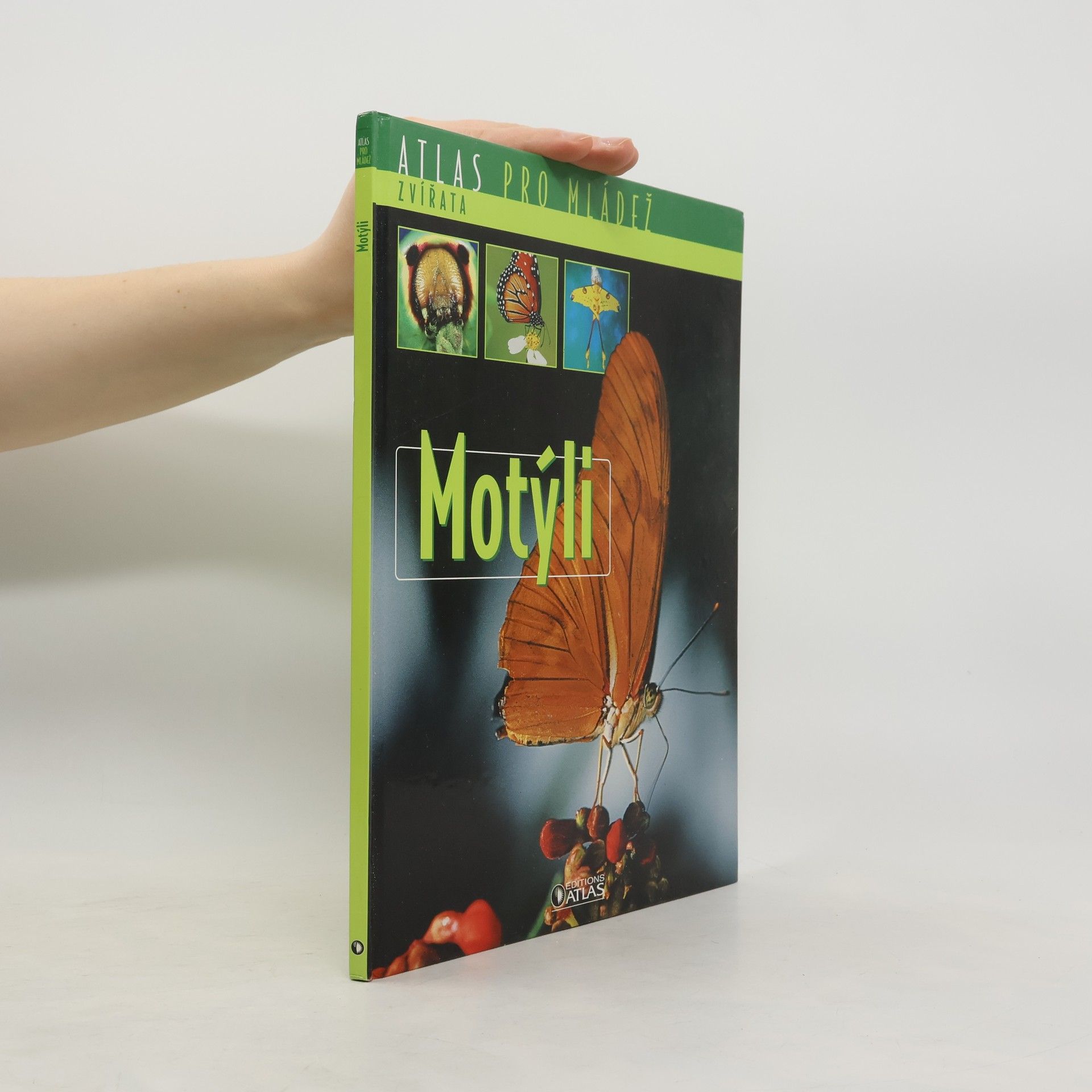 Autorenkollektiv Motýli