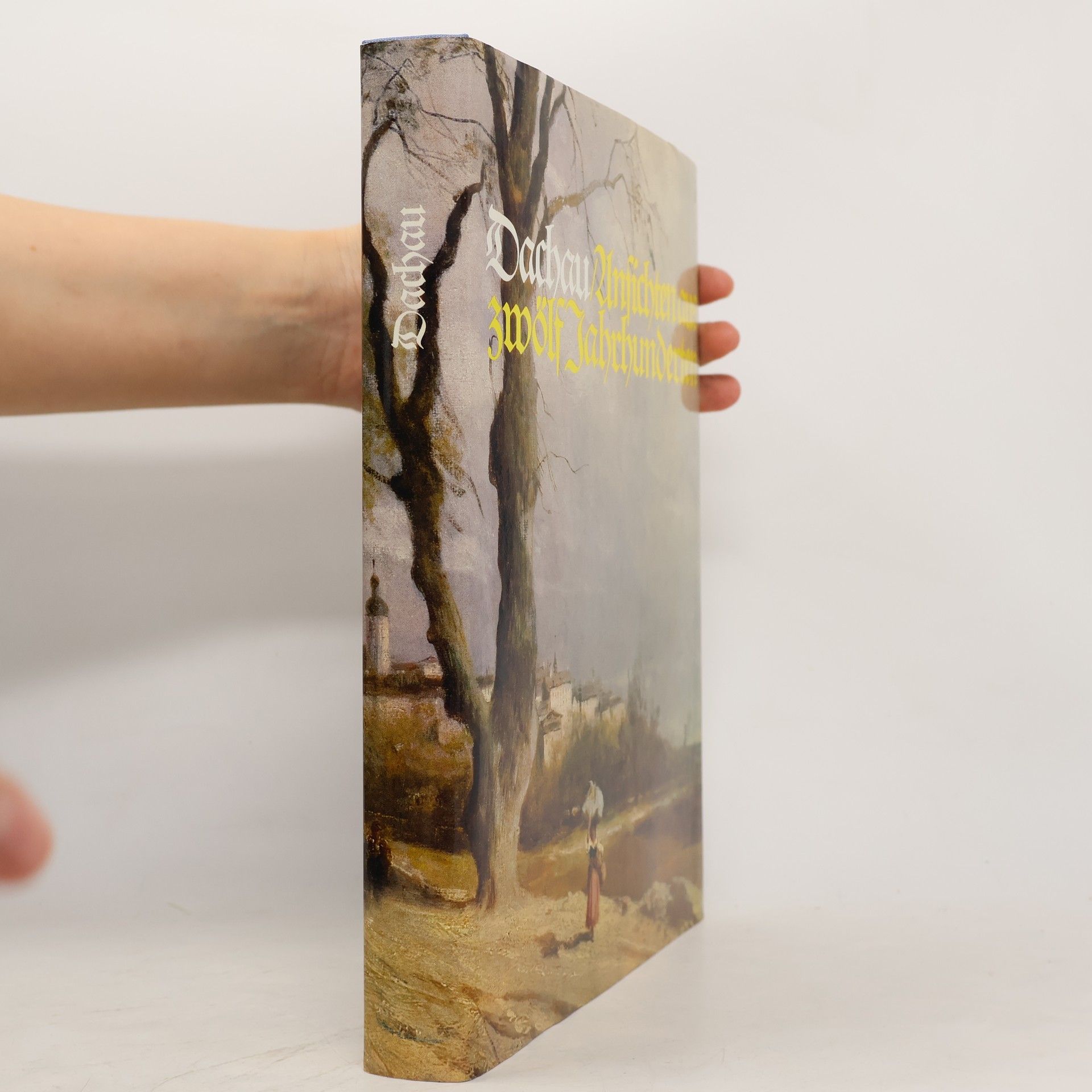 Autores varios Dachau, Ansichten und Zeugnisse aus zwölf Jahrhunderten