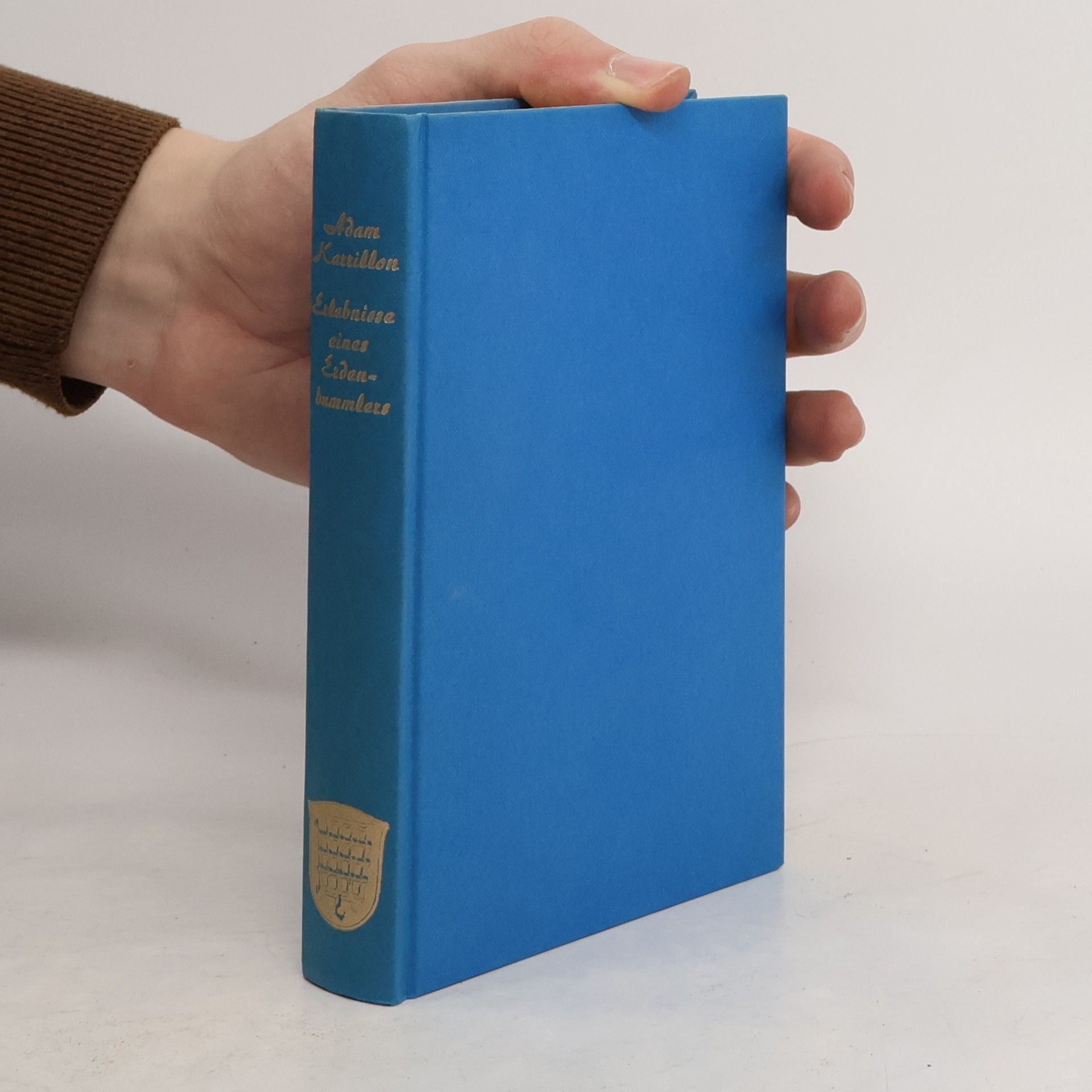 Erlebnisse eines Erdenbummlers