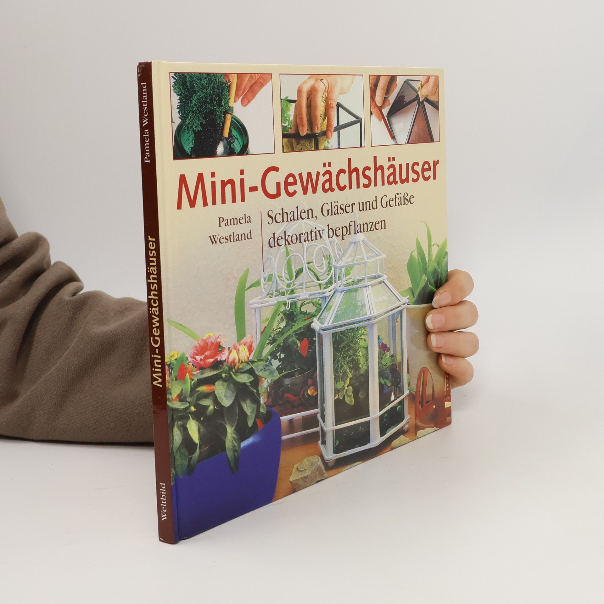 Mini-Gewächshäuser