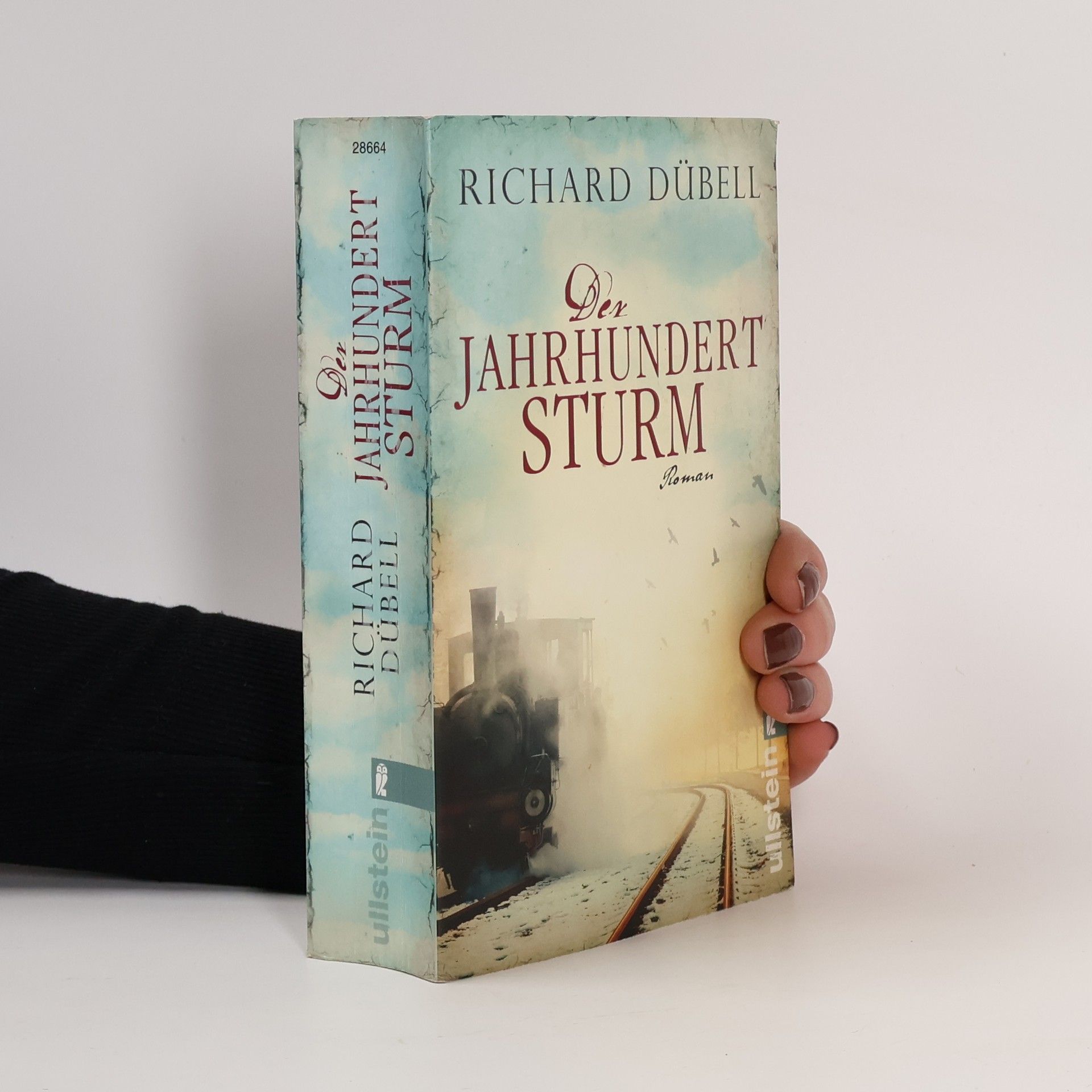 Richard Dübell Den Jahrhundertsturm