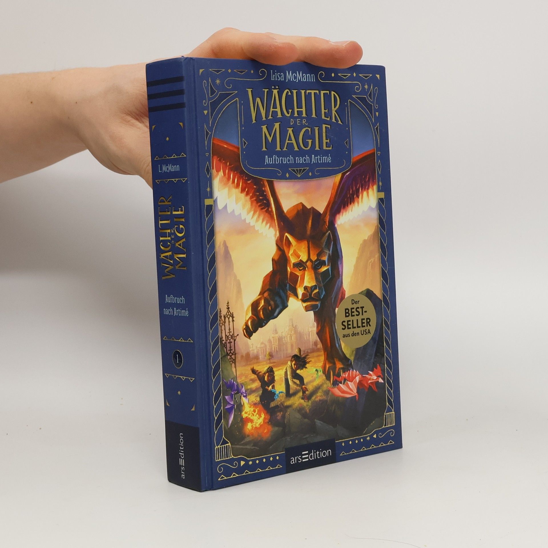 Lisa McMann Aufbruch nach Artimé