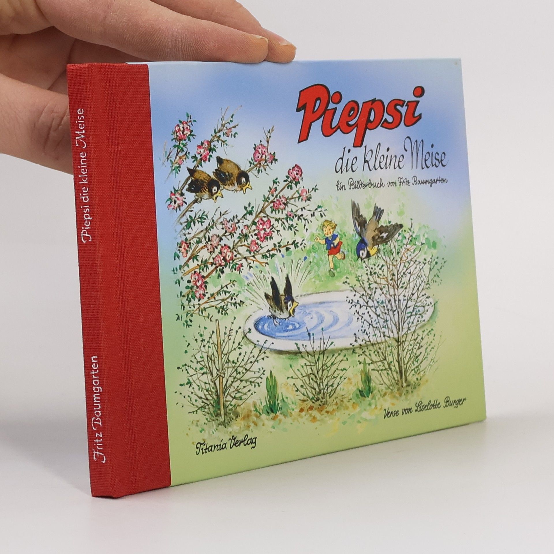 Andy Remic Piepsi die kleine Meise