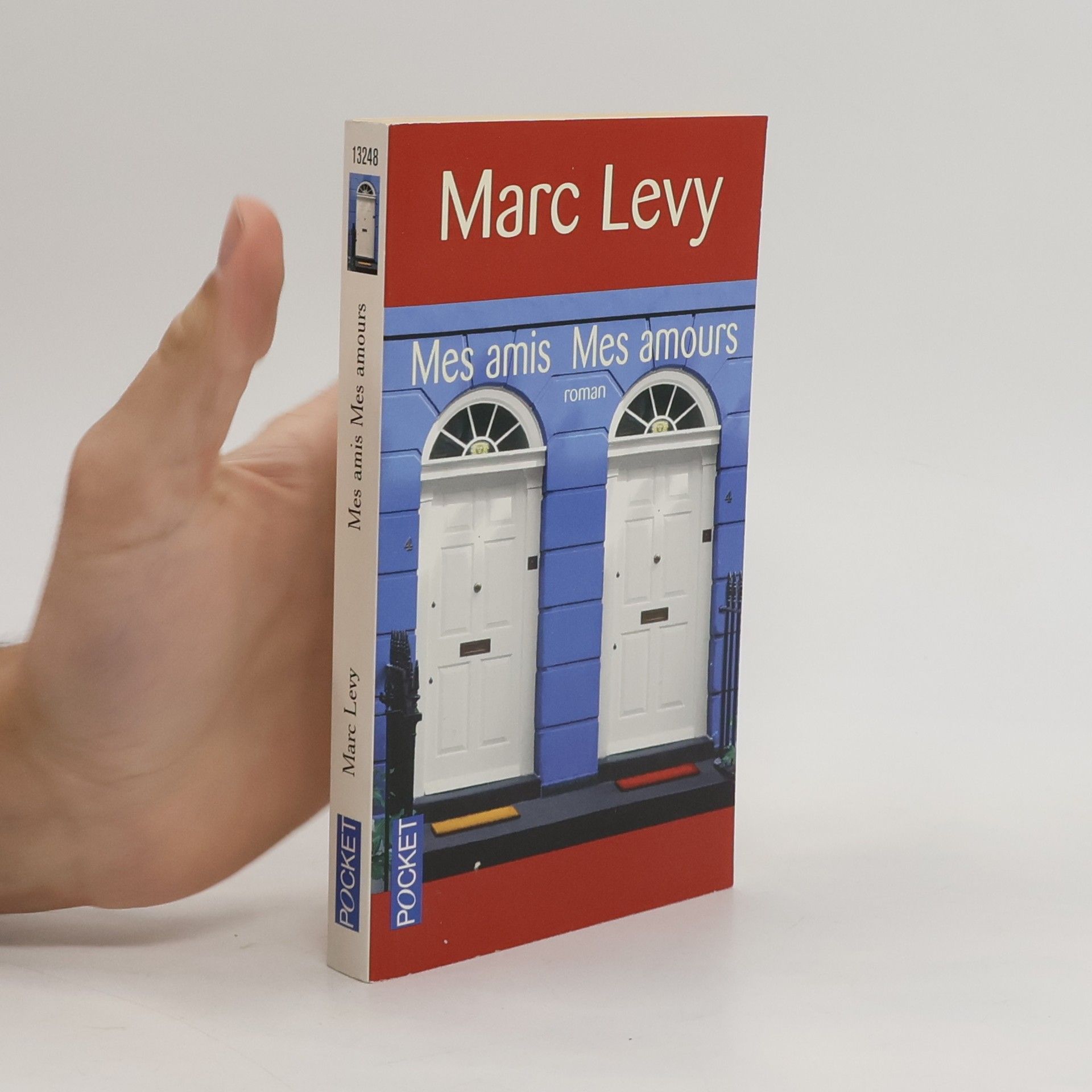 Marc Lévy Mes amis, mes amours