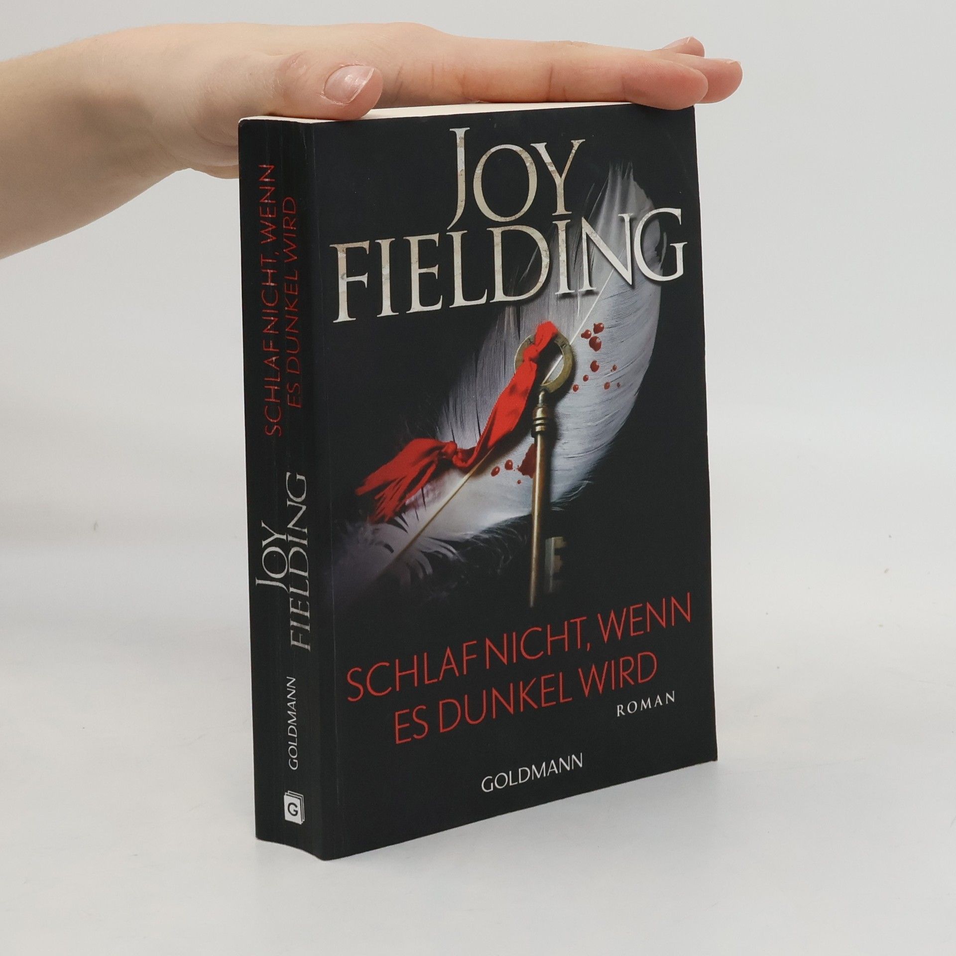 Joy Fielding Schlaf nicht, wenn es dunkel wird