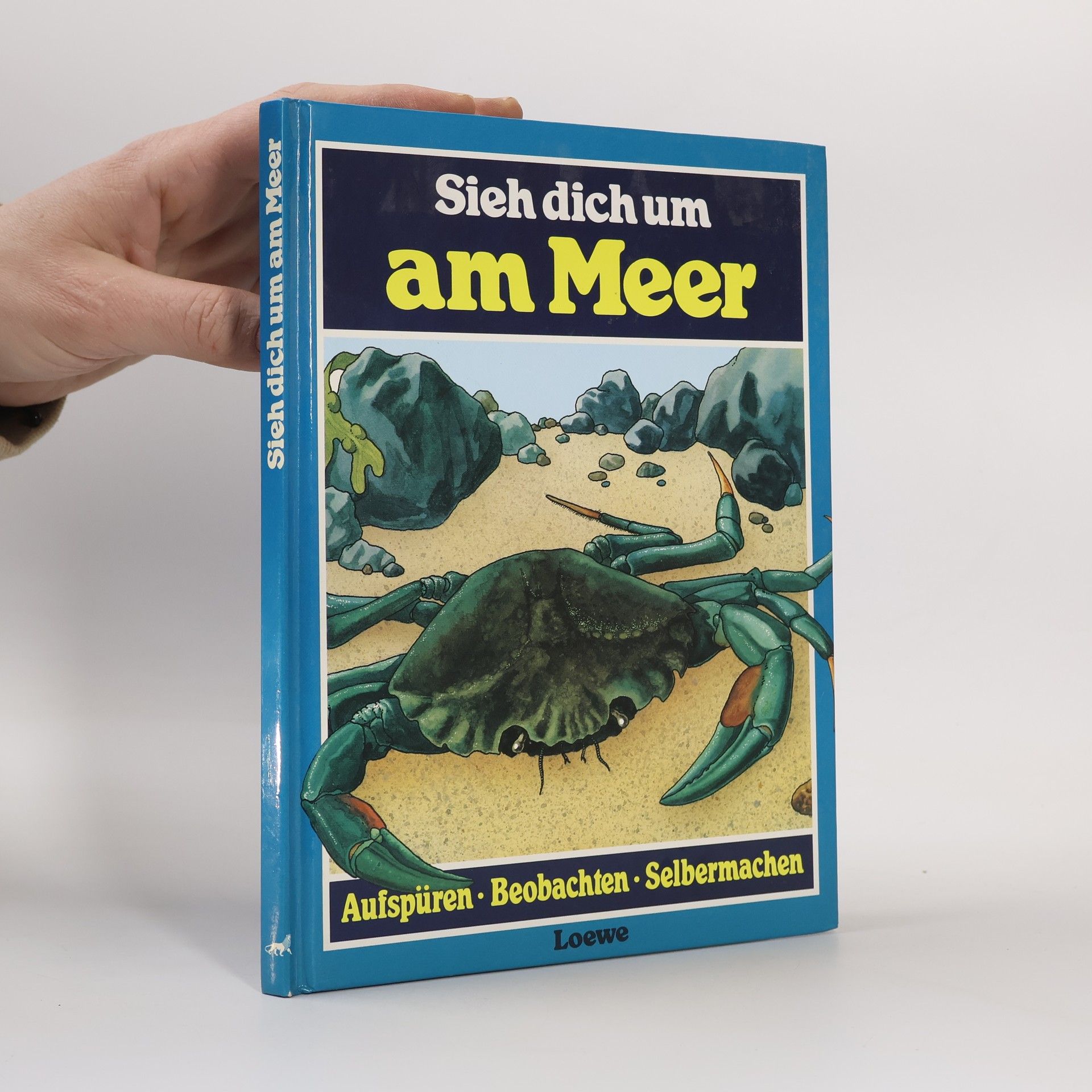 Michael Chinery Sieh dich um am Meer