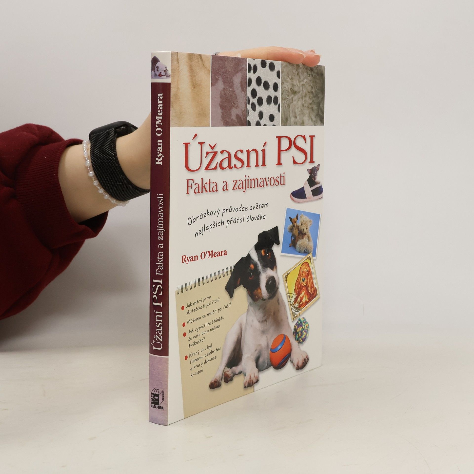 Ryan O. Meara Úžasní psi. Fakta a zajímavosti