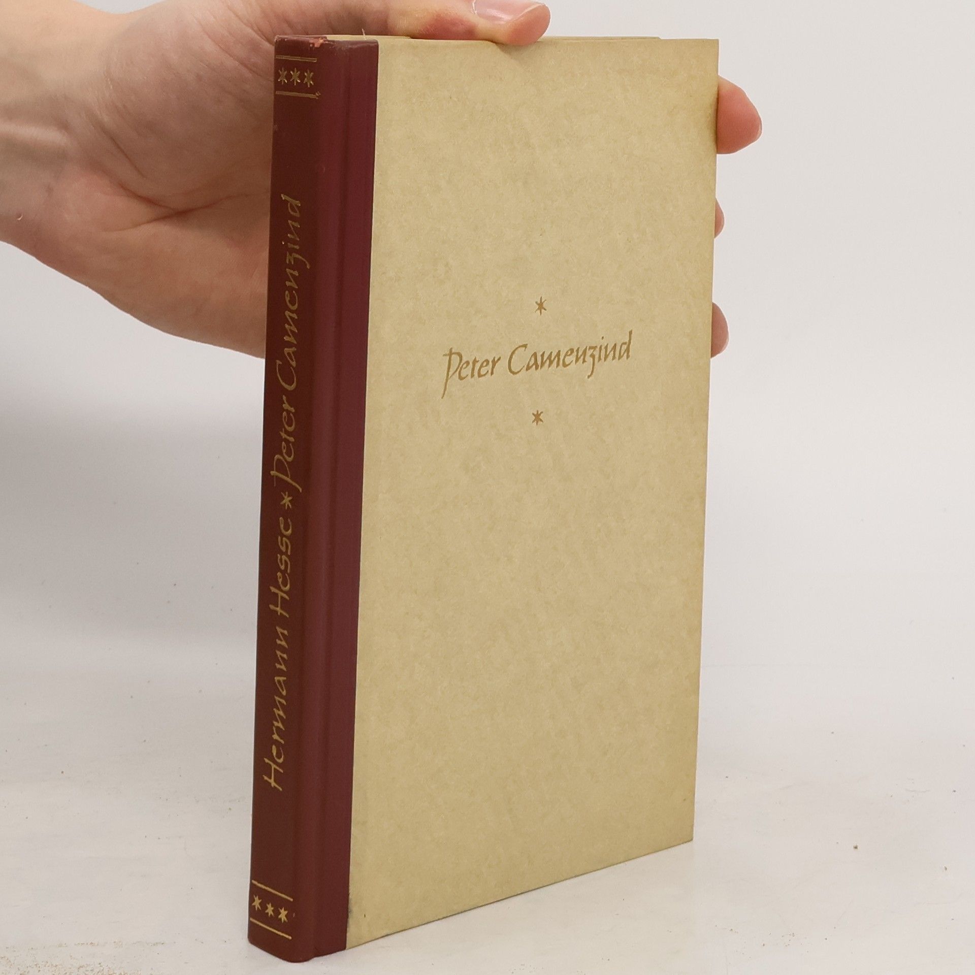 Autorenkollektiv Peter Camenzind
