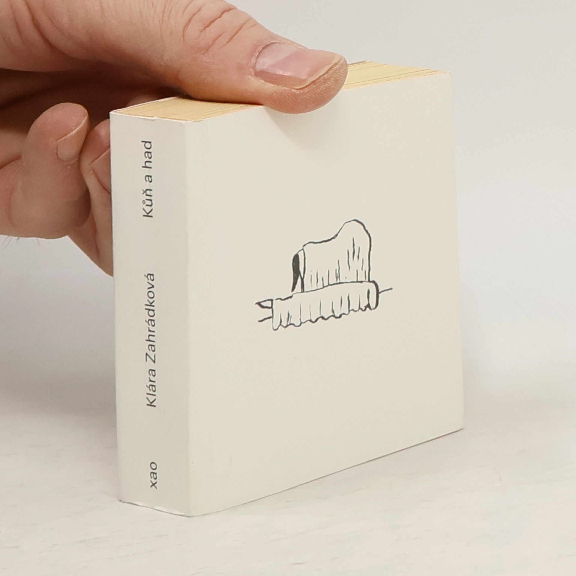 Klára Zahrádková Kůň a had