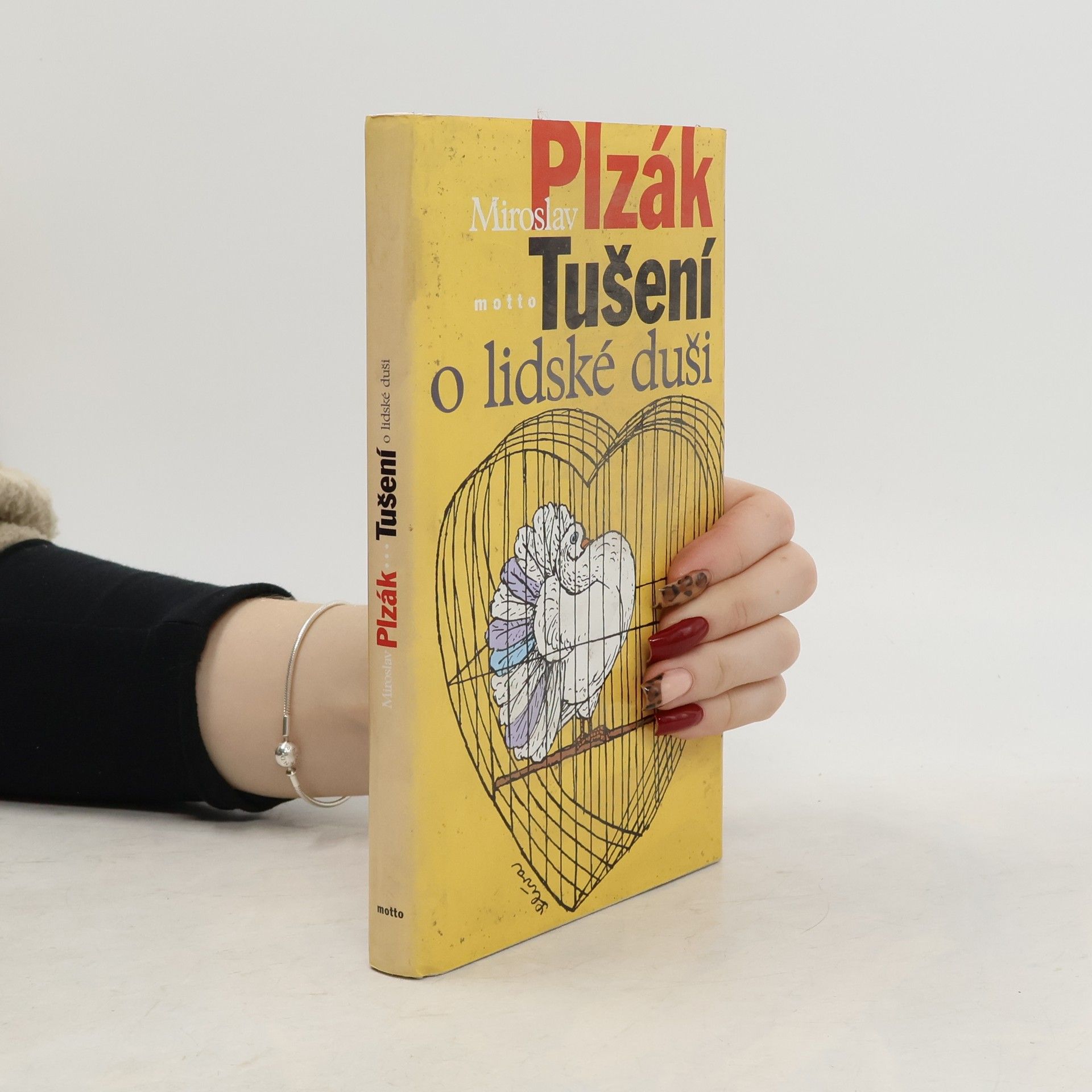 Miroslav Plzák Tušení o lidské duši