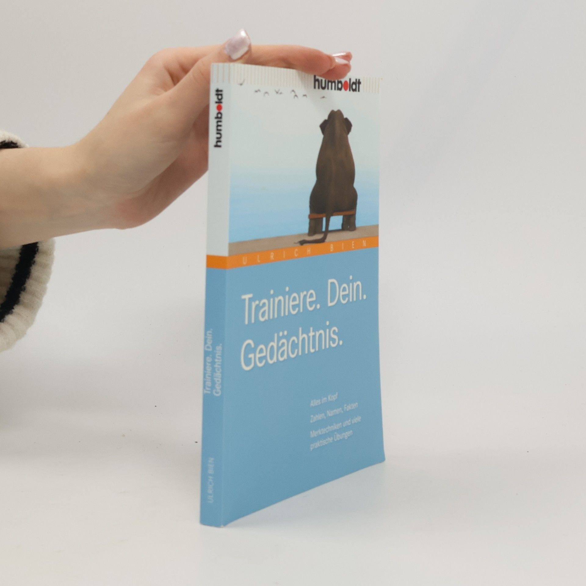 Ulrich Bien Trainiere Dein Gedächtnis