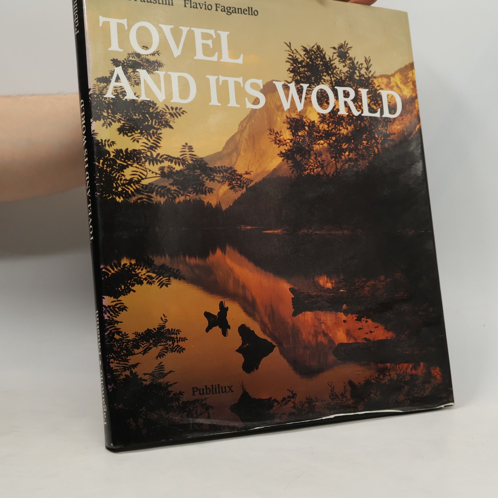 Autorenkollektiv Tovel and its World