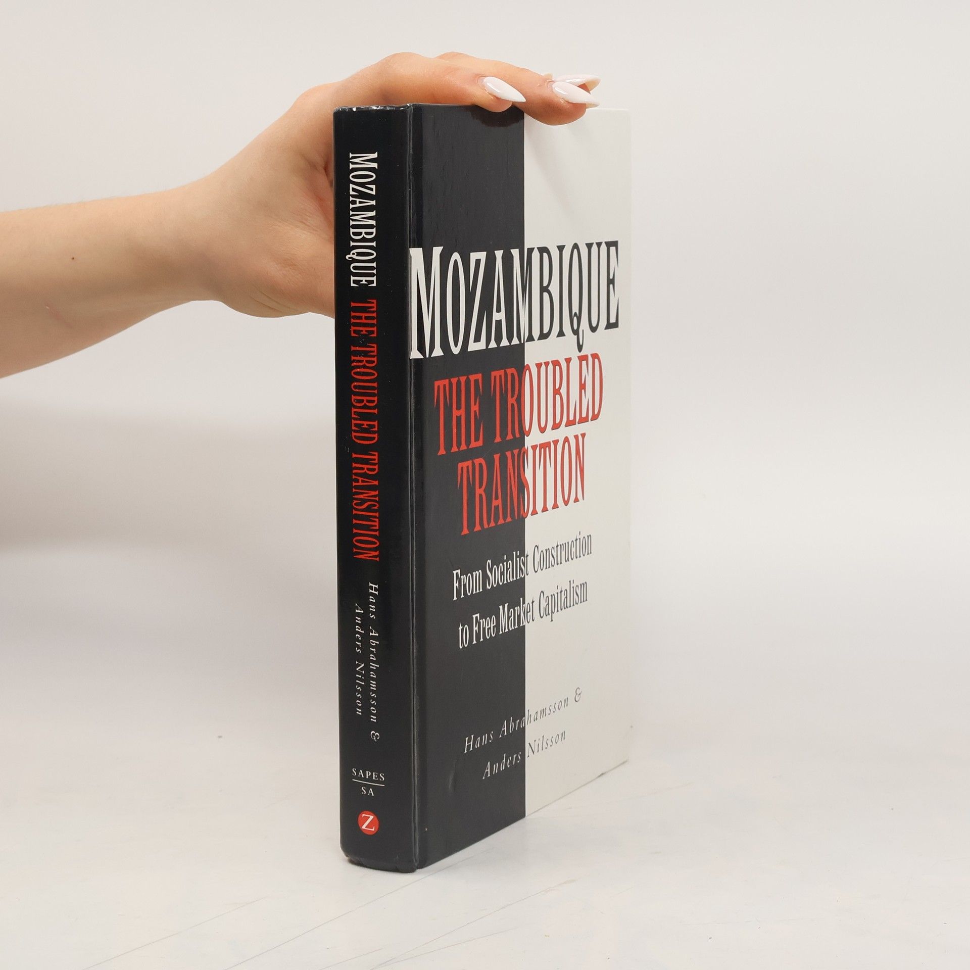 Hans Abrahamsson Mozambique