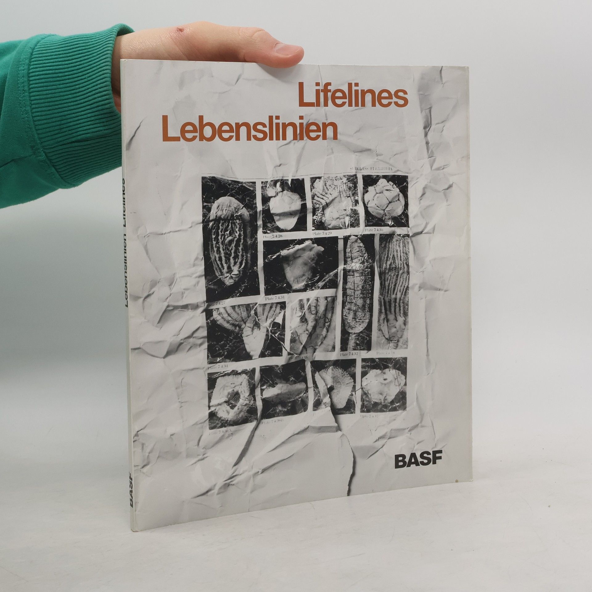 Autorenkollektiv Lifelines