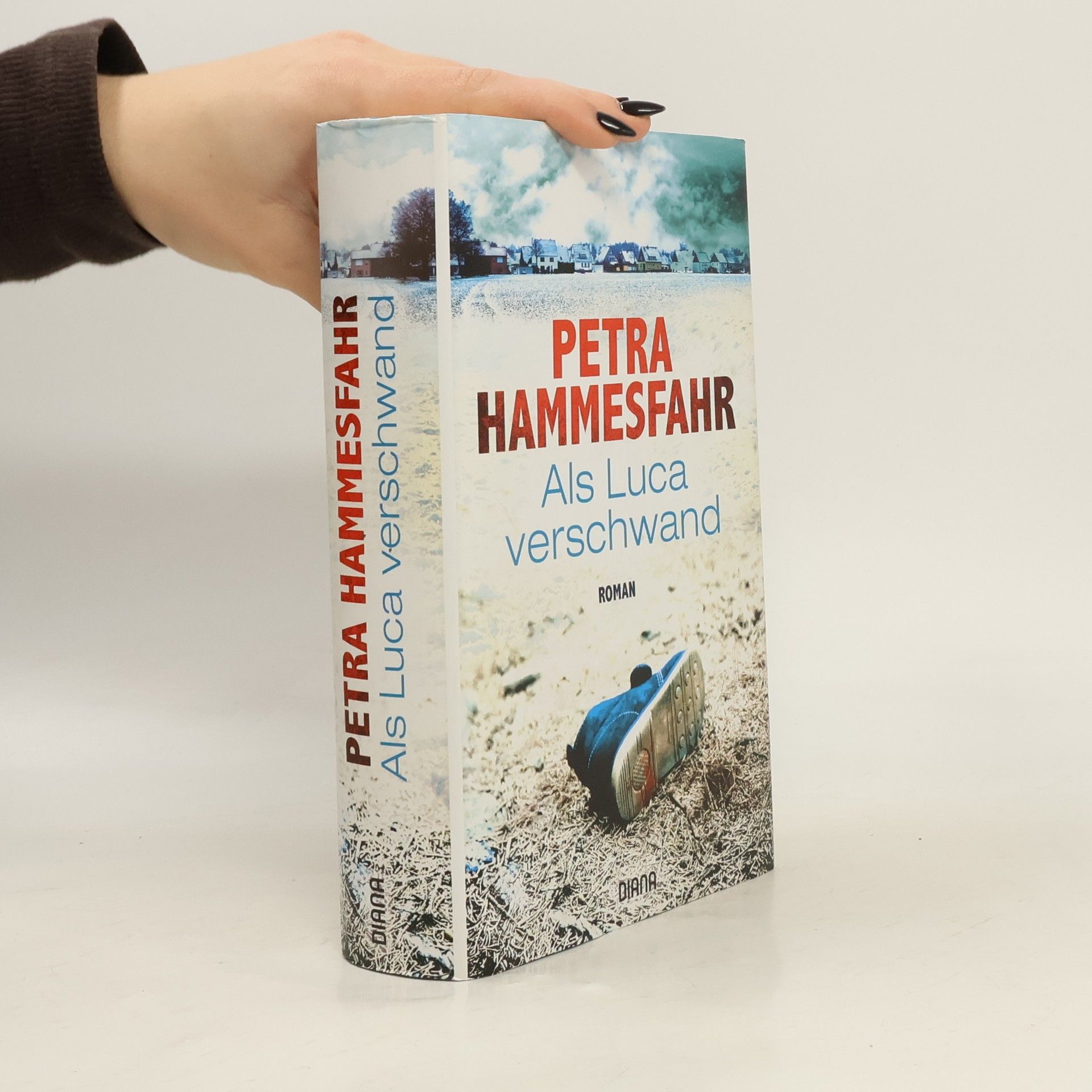 Petra Hammesfahr Als Luca verschwand