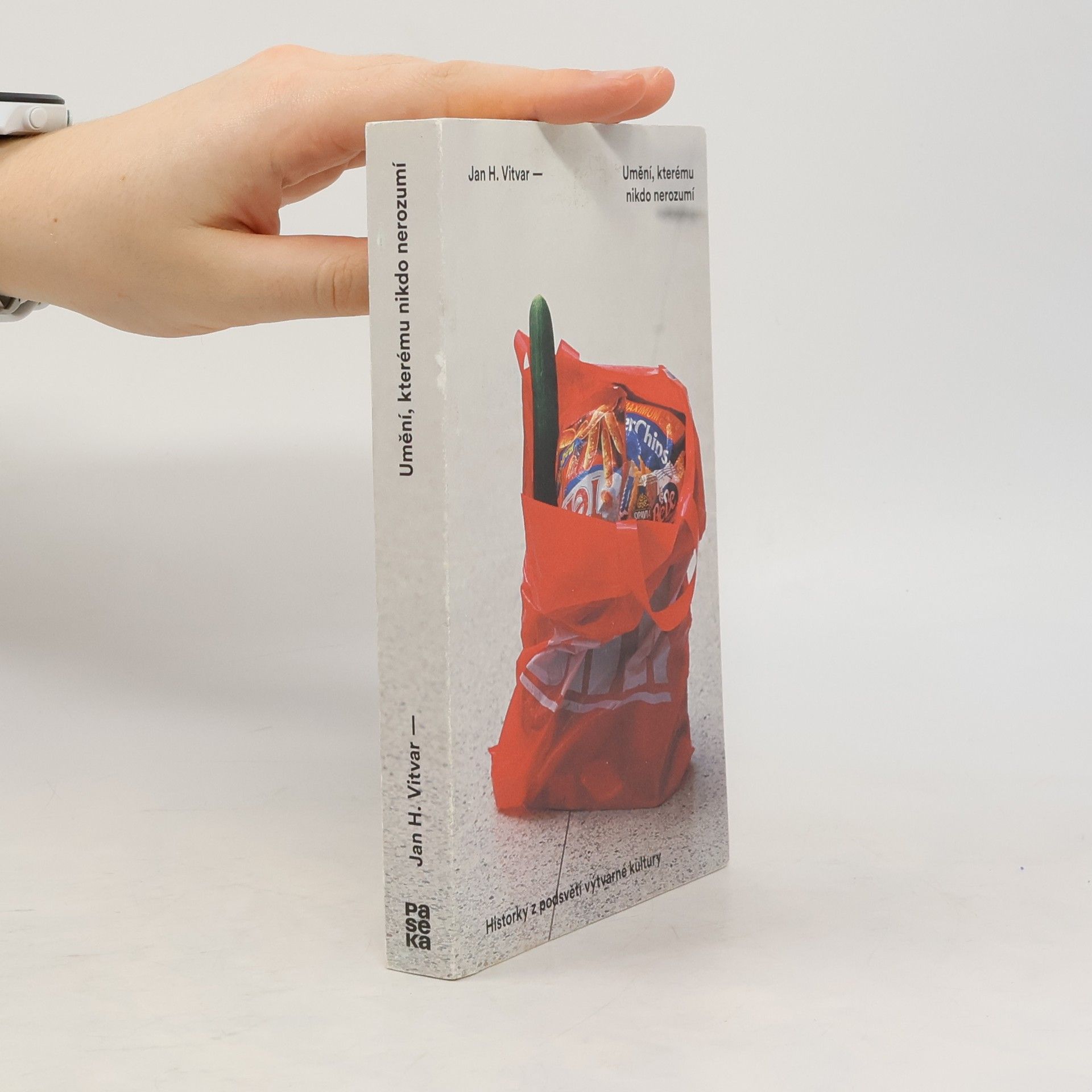 Jan H. Vitvar Umění, kterému nikdo nerozumí : historky z podsvětí výtvarné kultury